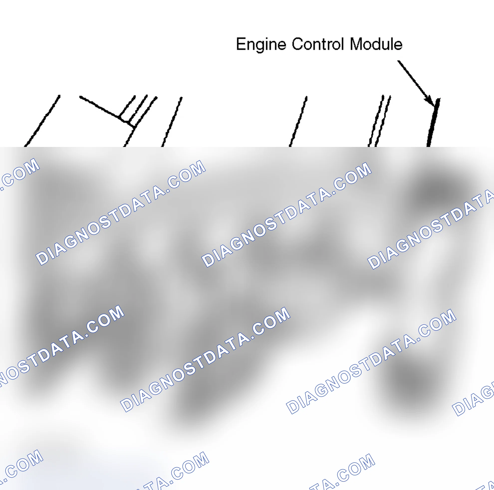 Scheme 21: Engine Control Module (ECM)