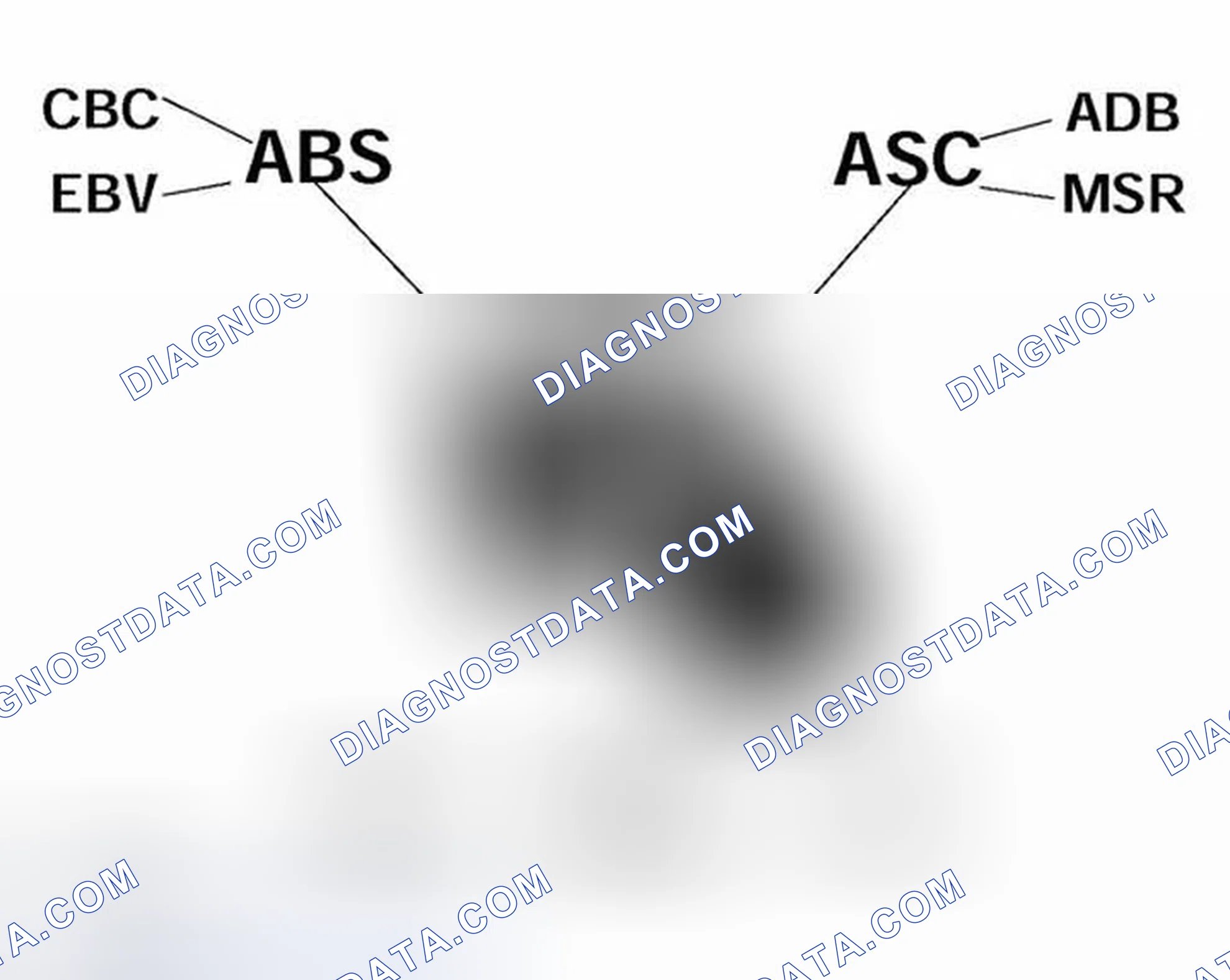Scheme 6: Identifying MK60 DSC III Inputs/Outputs