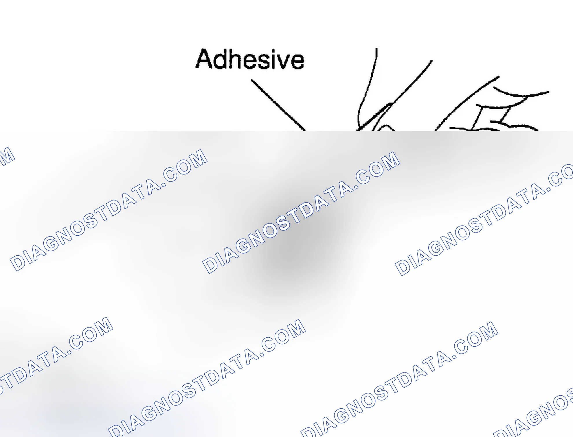Scheme 333