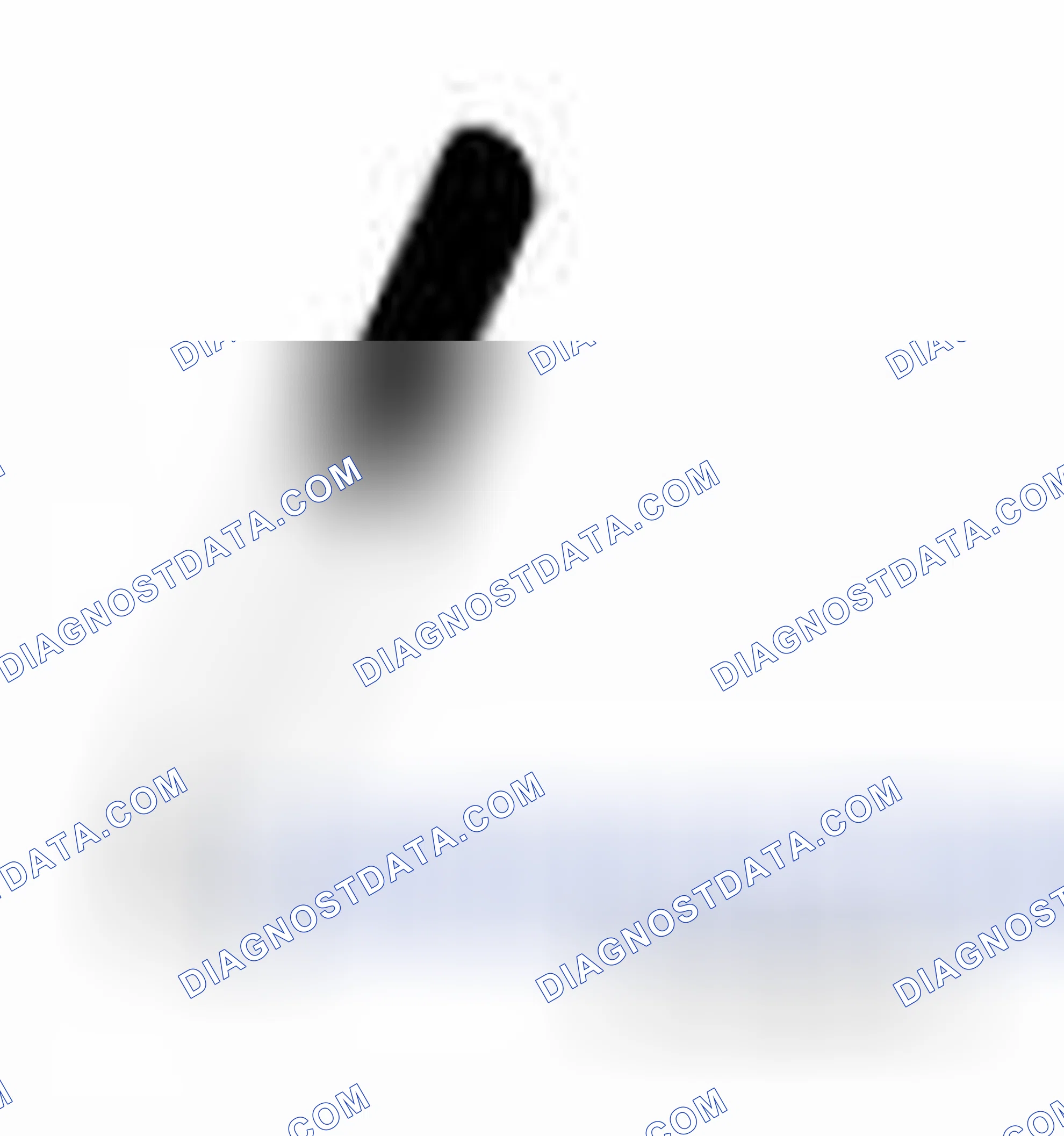 Scheme 40: Special Tool(s) / General Equipment