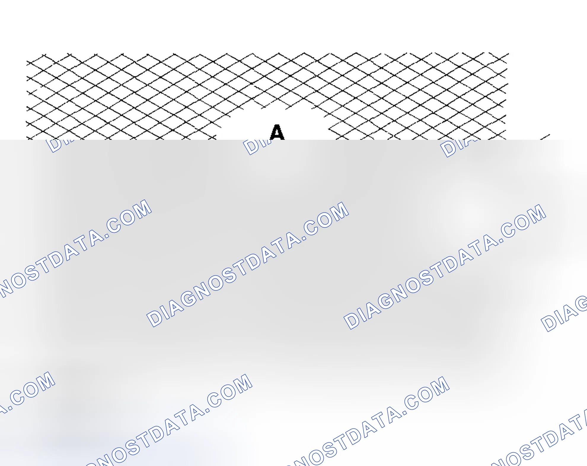 Scheme 251: Cylinder Bore Honing