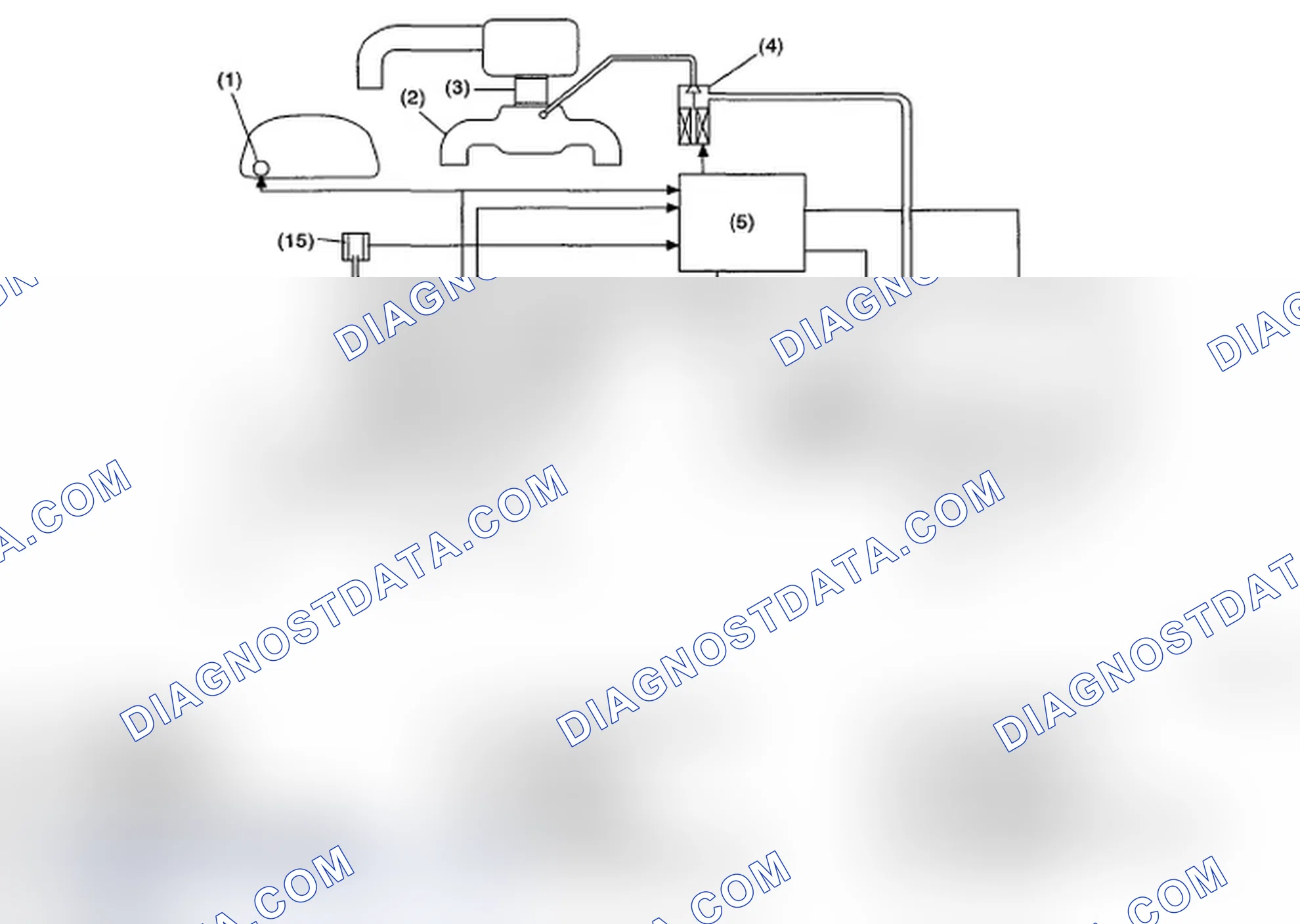 Scheme 172: OUTLINE OF DIAGNOSIS