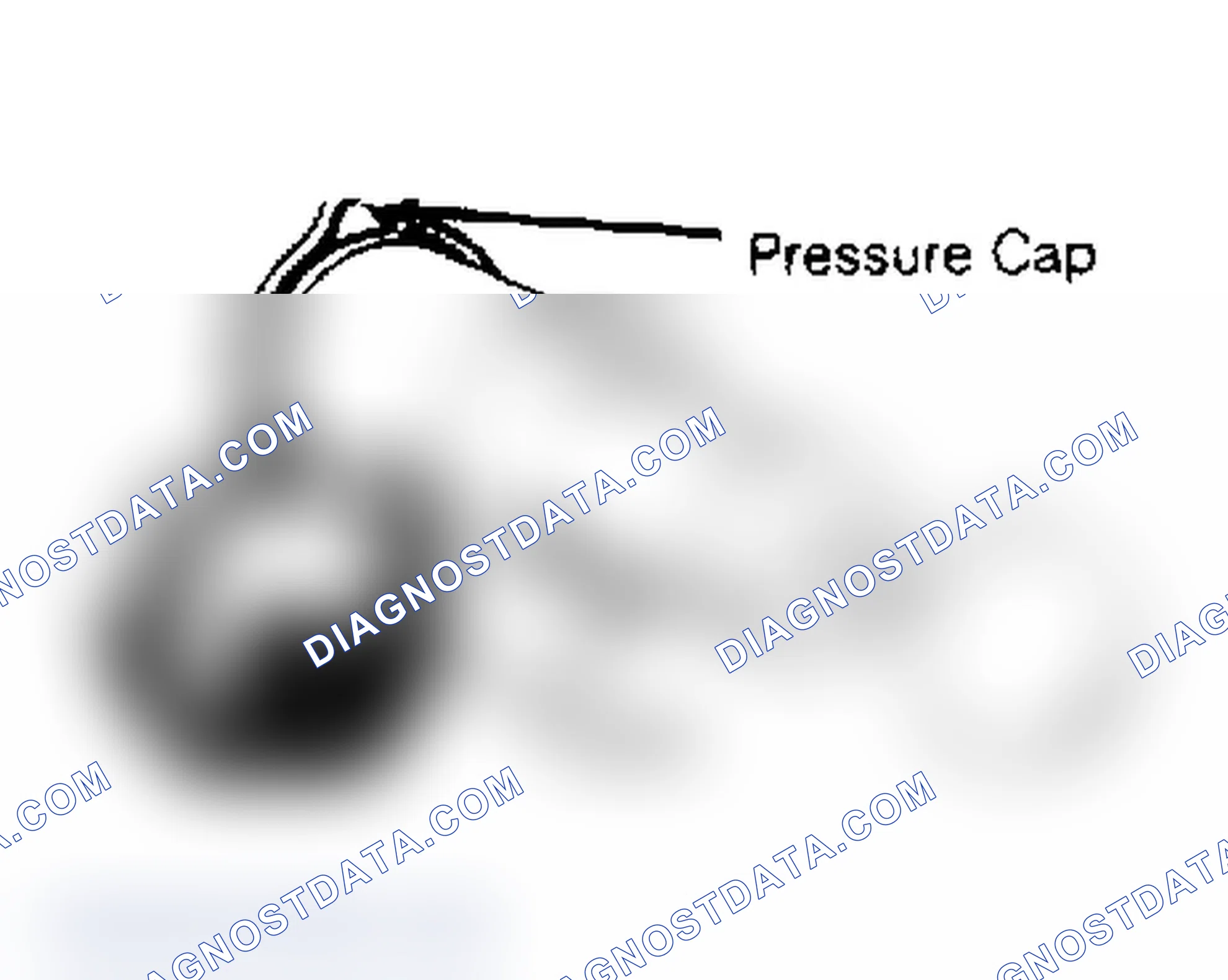 Scheme 2: RADIATOR CAP