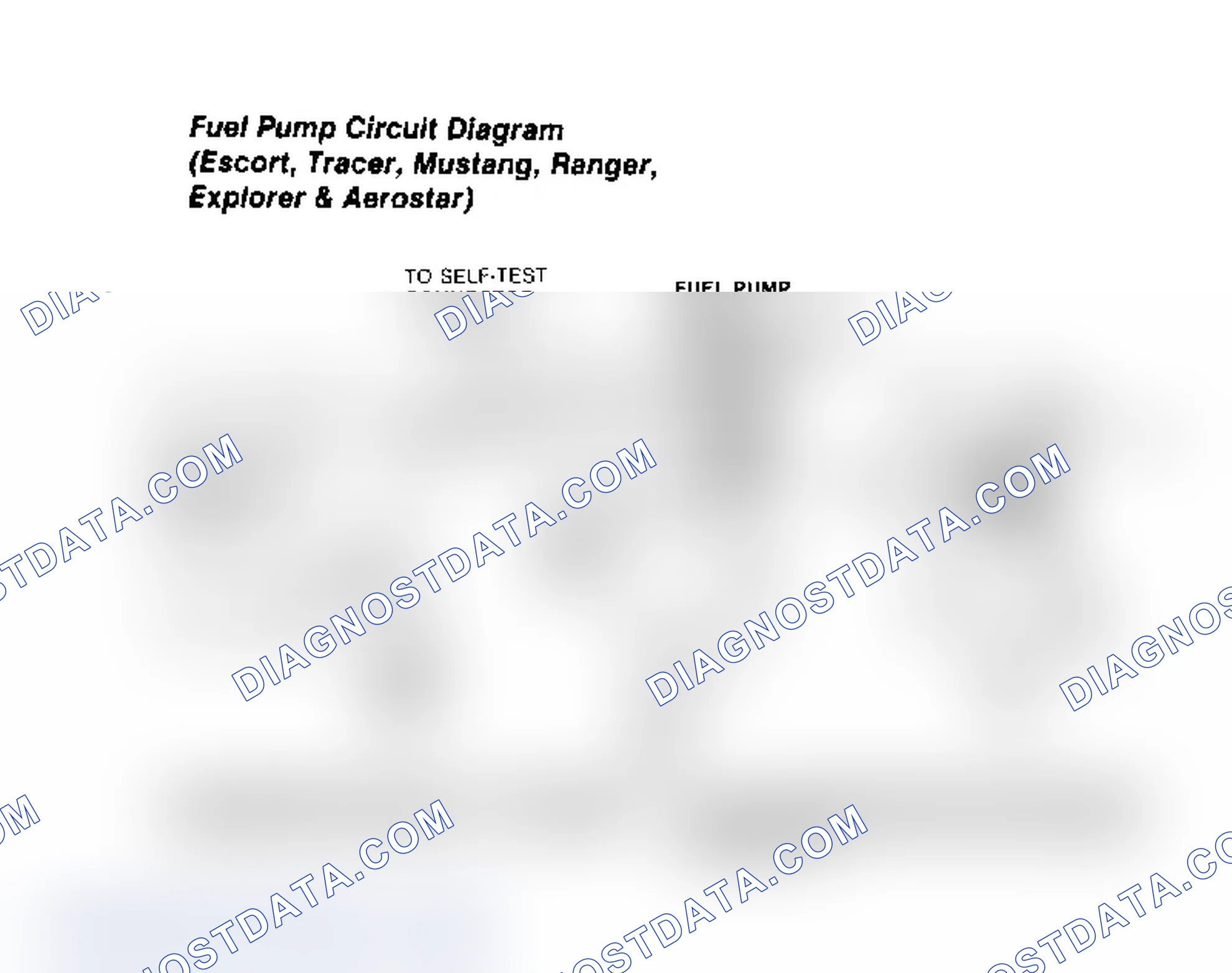 Scheme 31: Fuel Pump Circuit