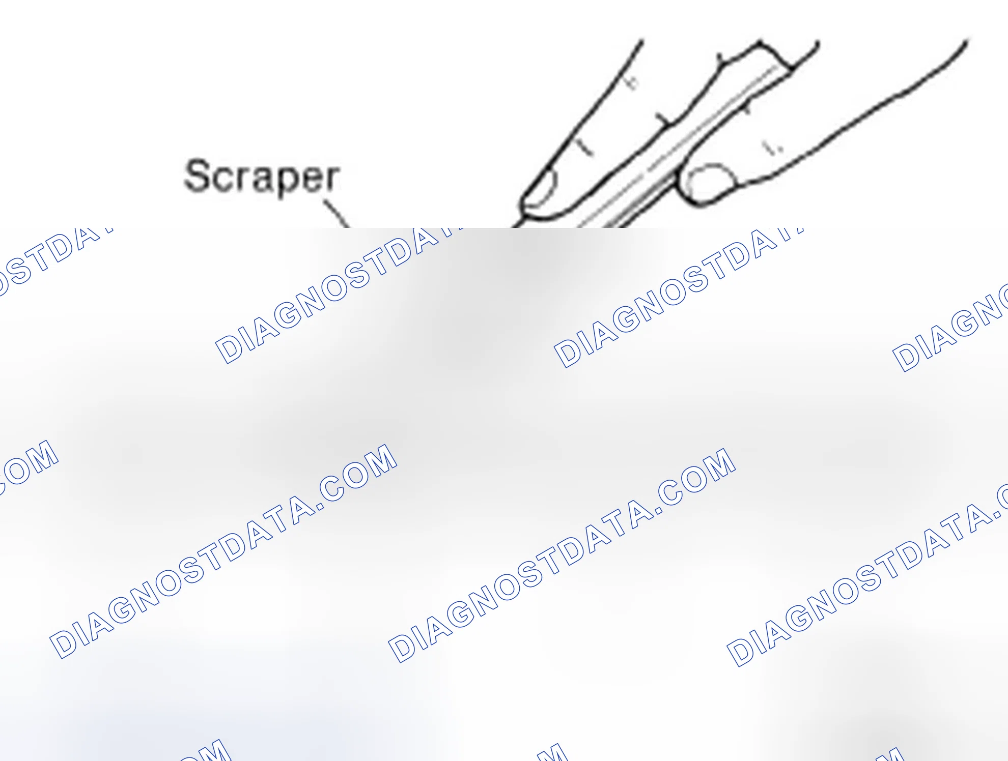Scheme 2: LIQUID GASKET APPLICATION PROCEDURE