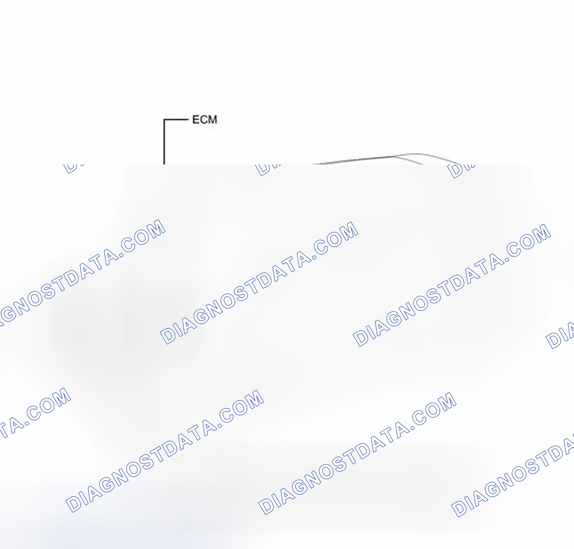 Scheme 19: ILLUSTRATION