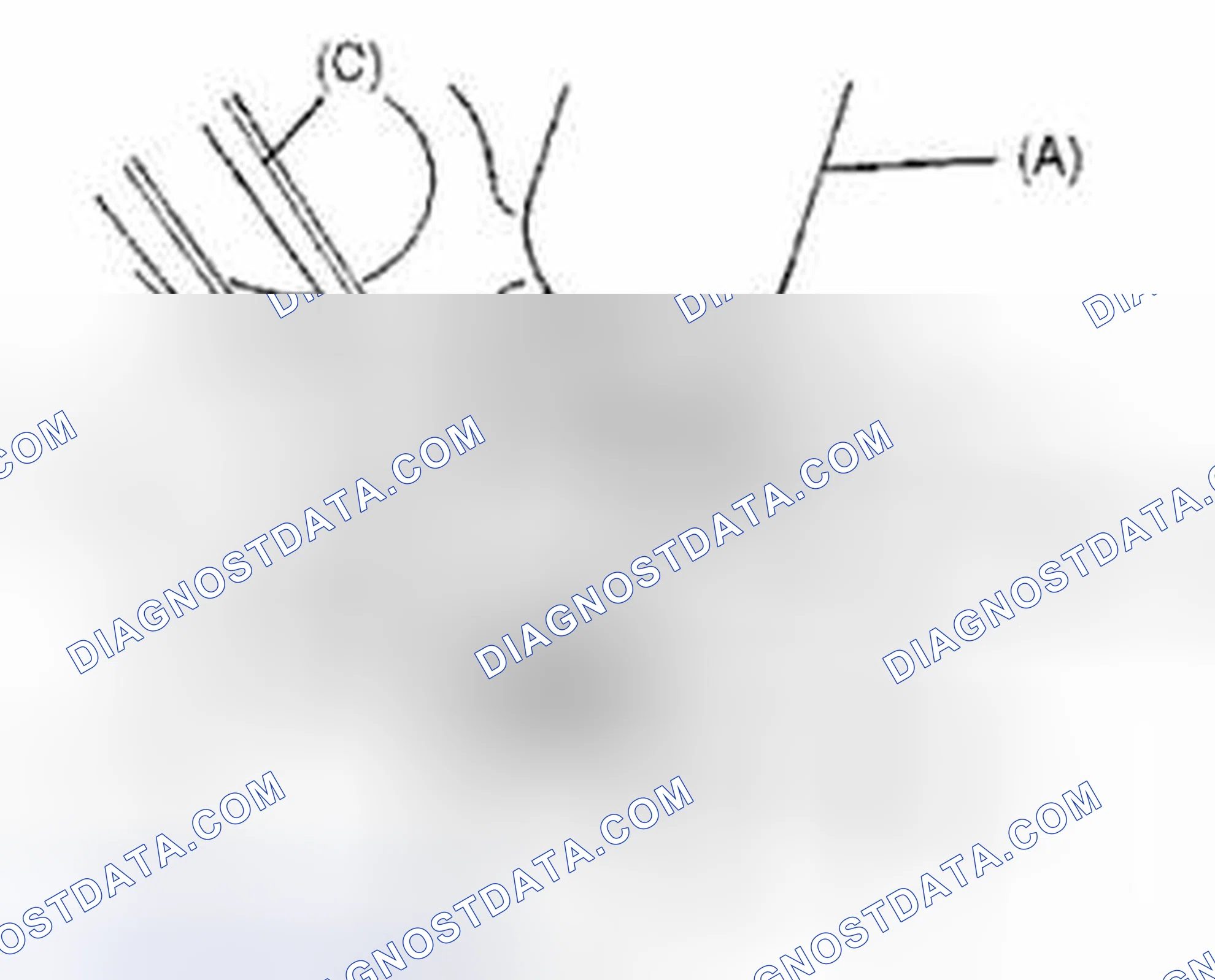 Scheme 124