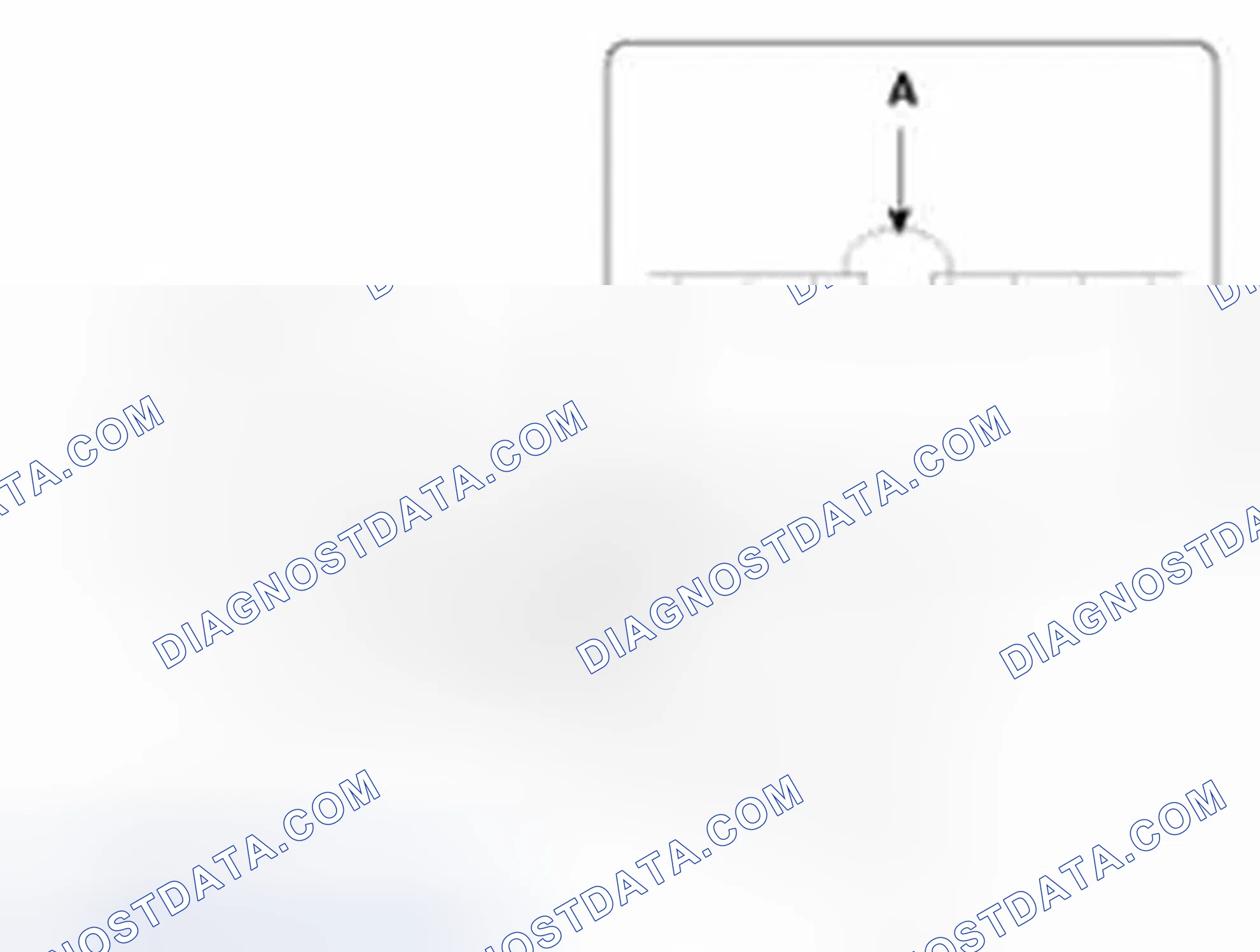 Scheme 203