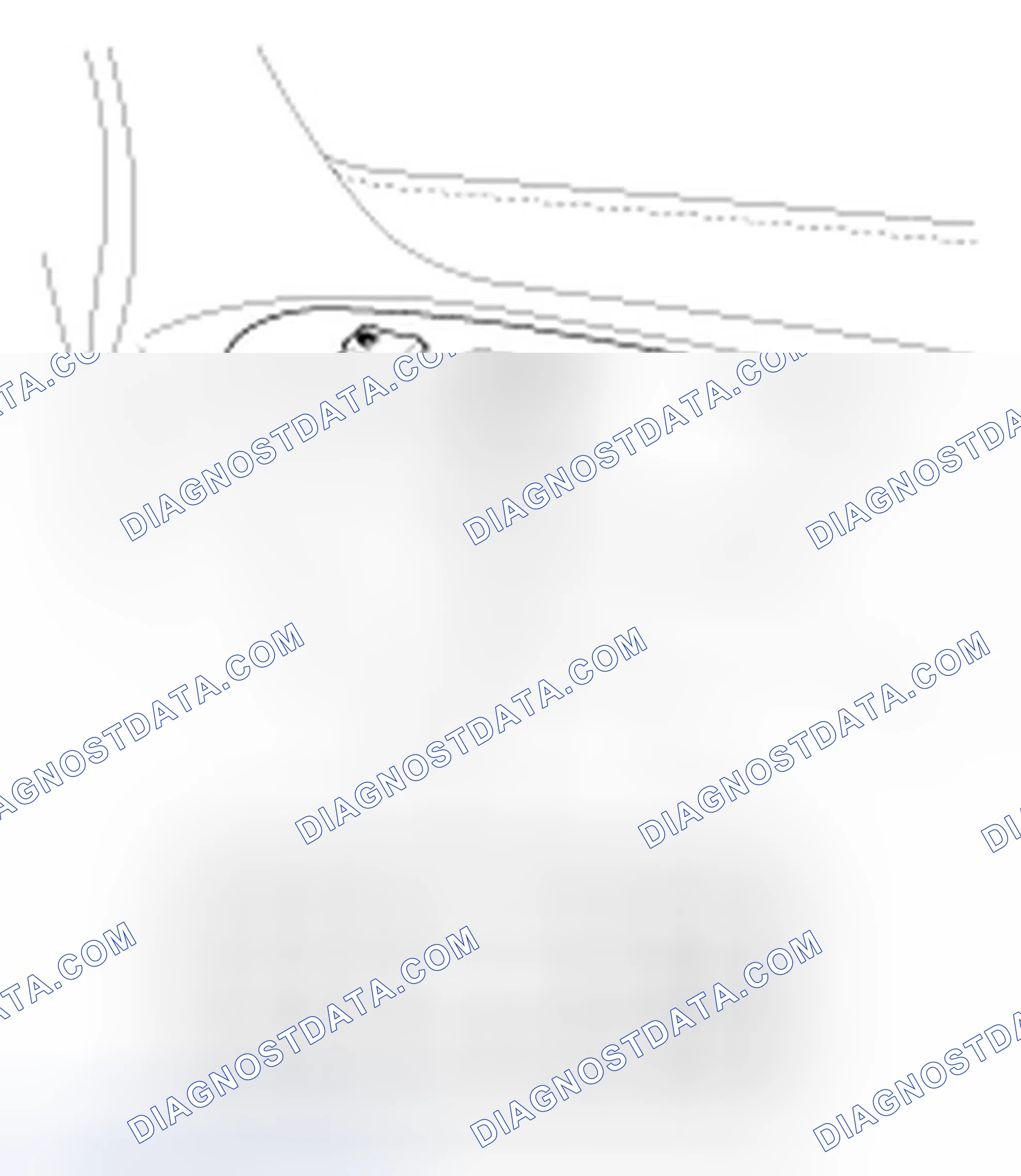 Scheme 22: Assist Power Window Switch Inspection
