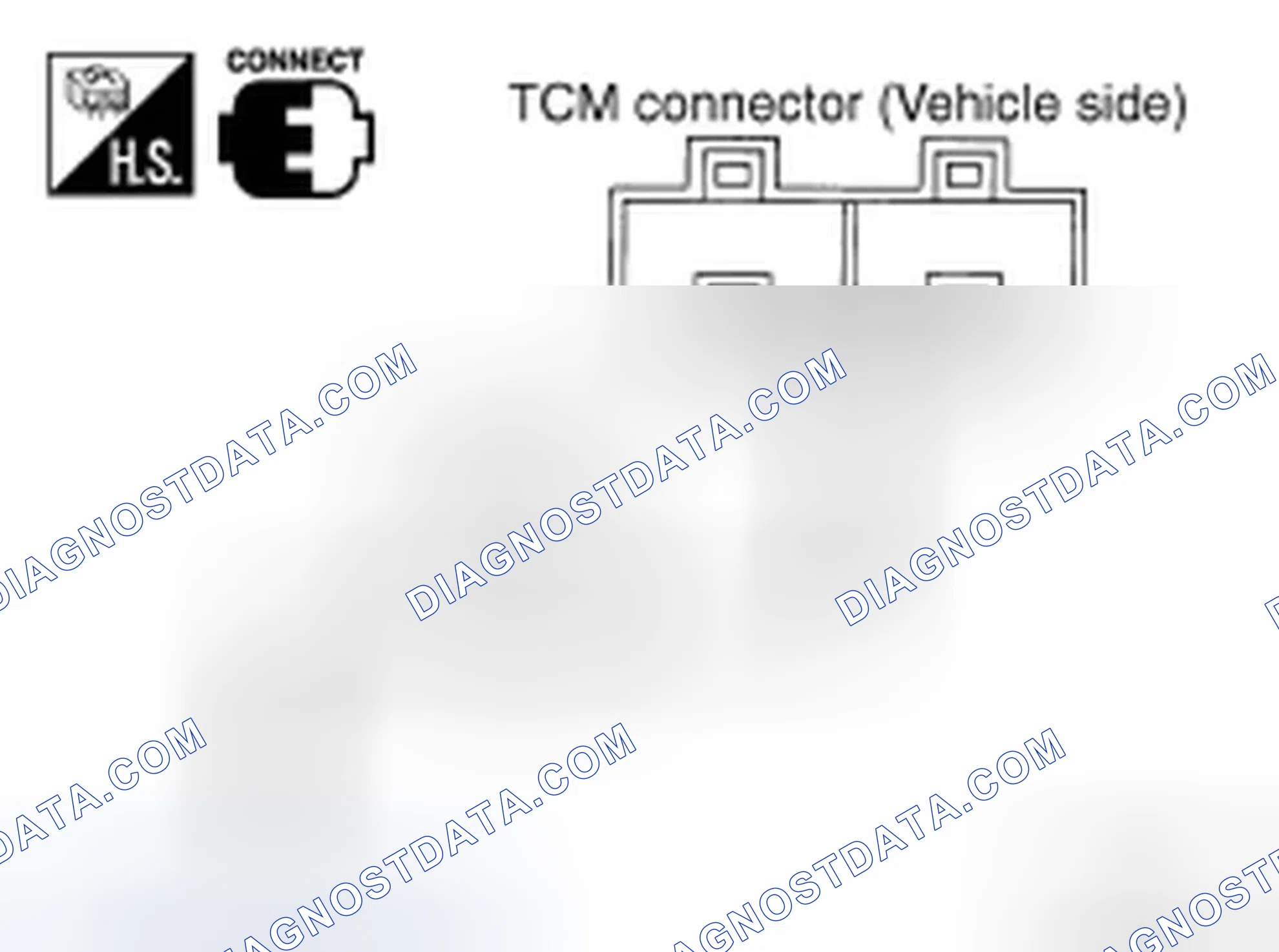 Scheme 111: Diagnostic Procedure