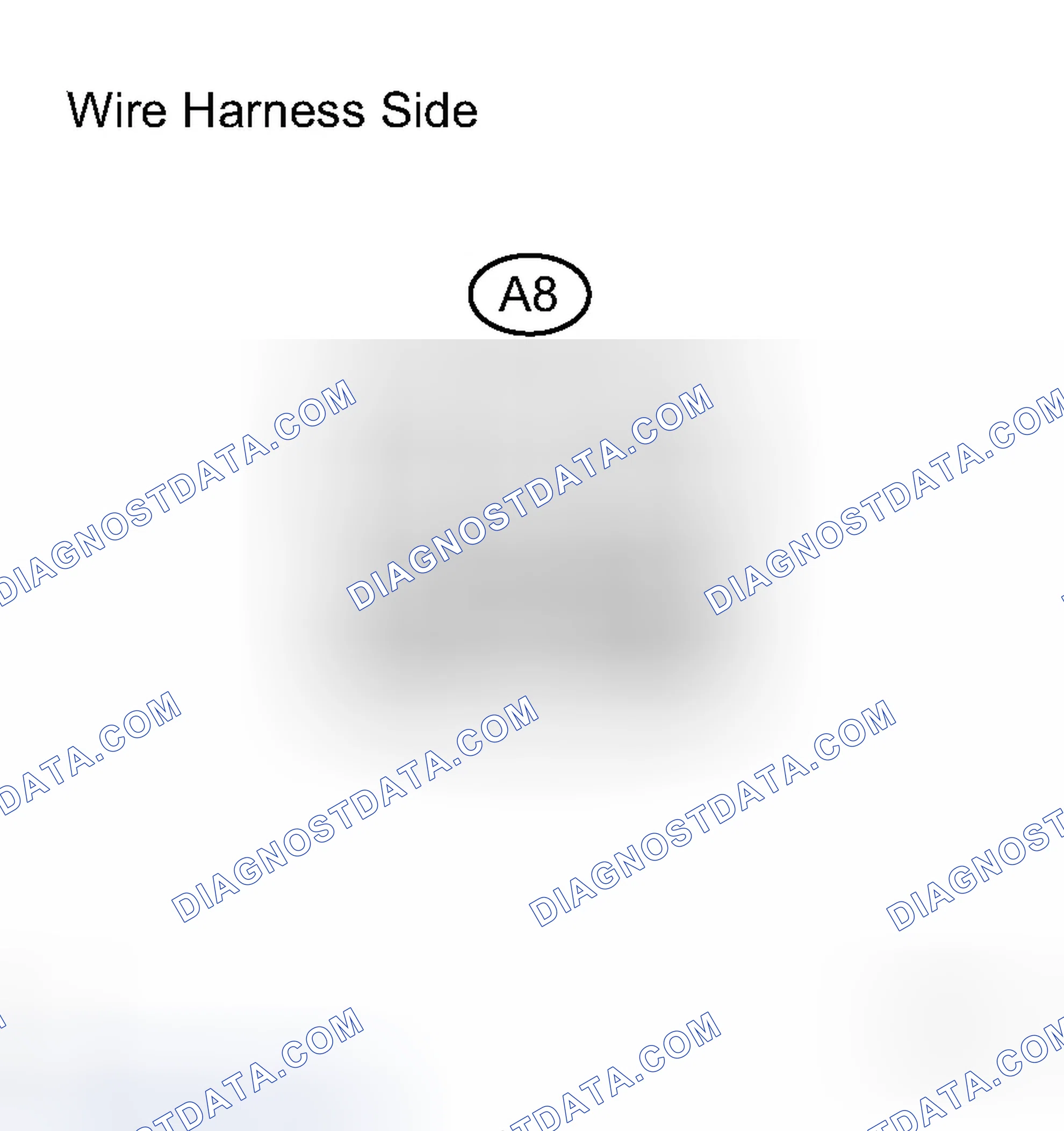 Scheme 91: INSPECTION PROCEDURE