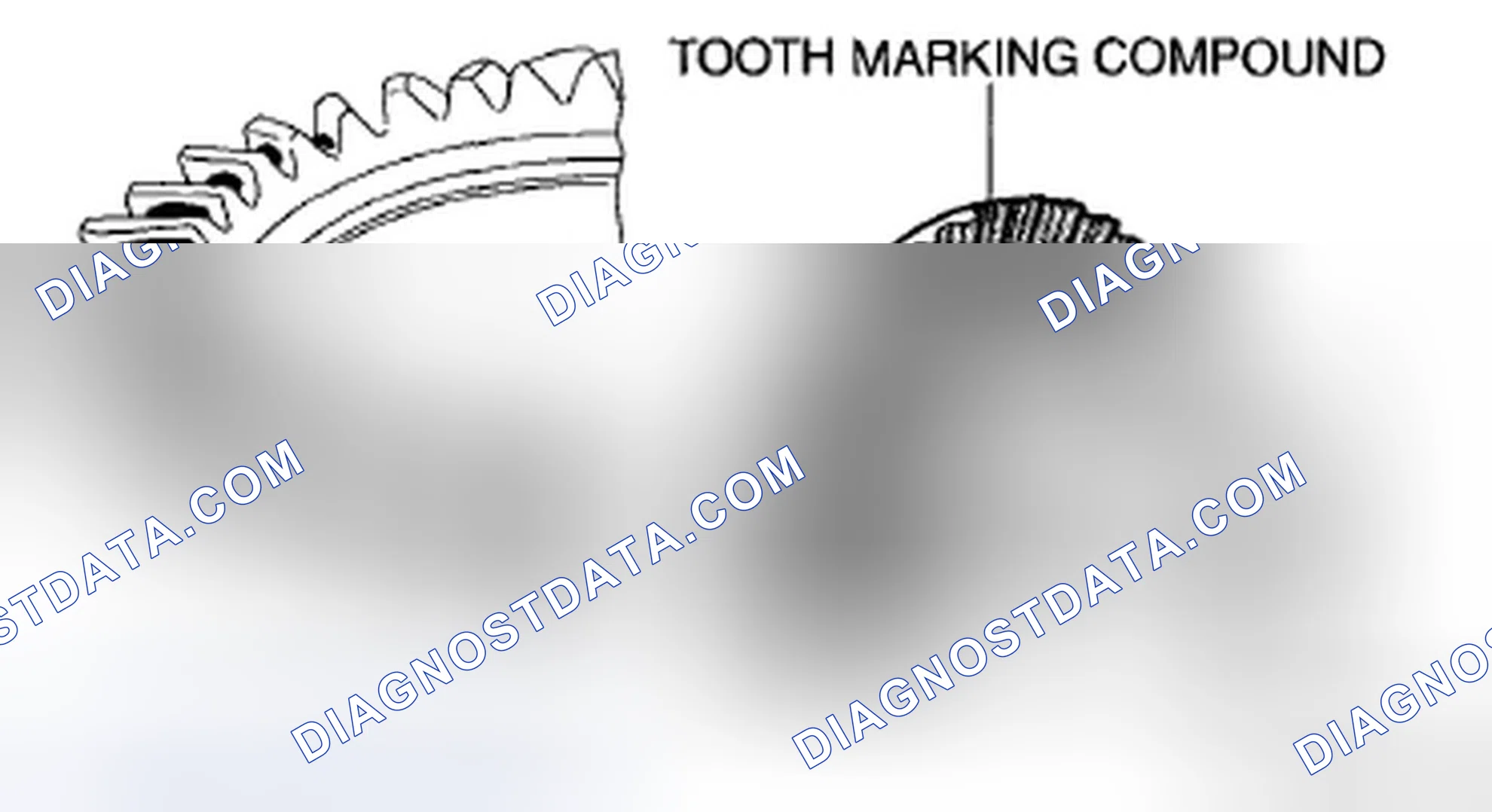 Scheme 22: Drive Pinion, Ring Gear Tooth Contact Inspection