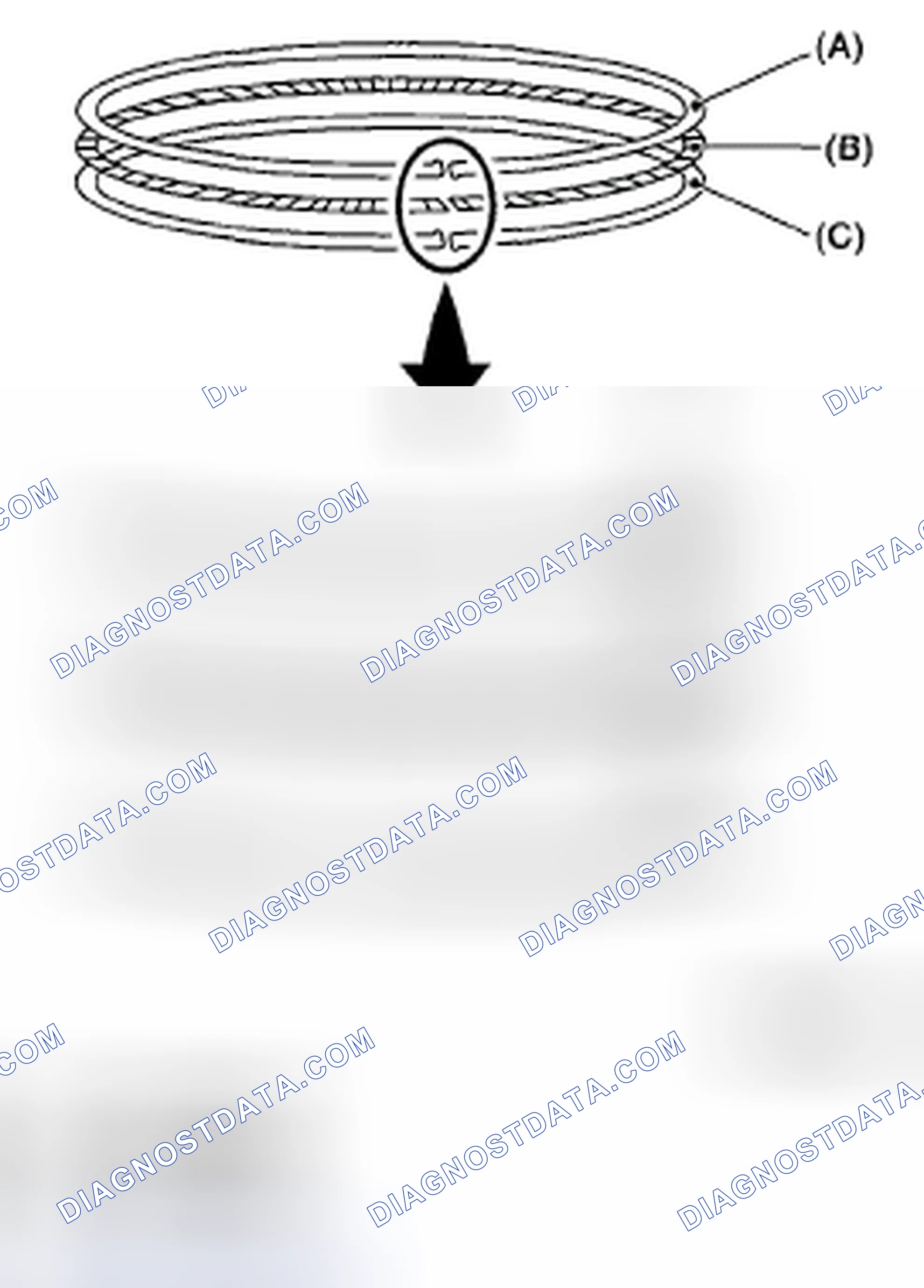 Scheme 446: PISTON RING