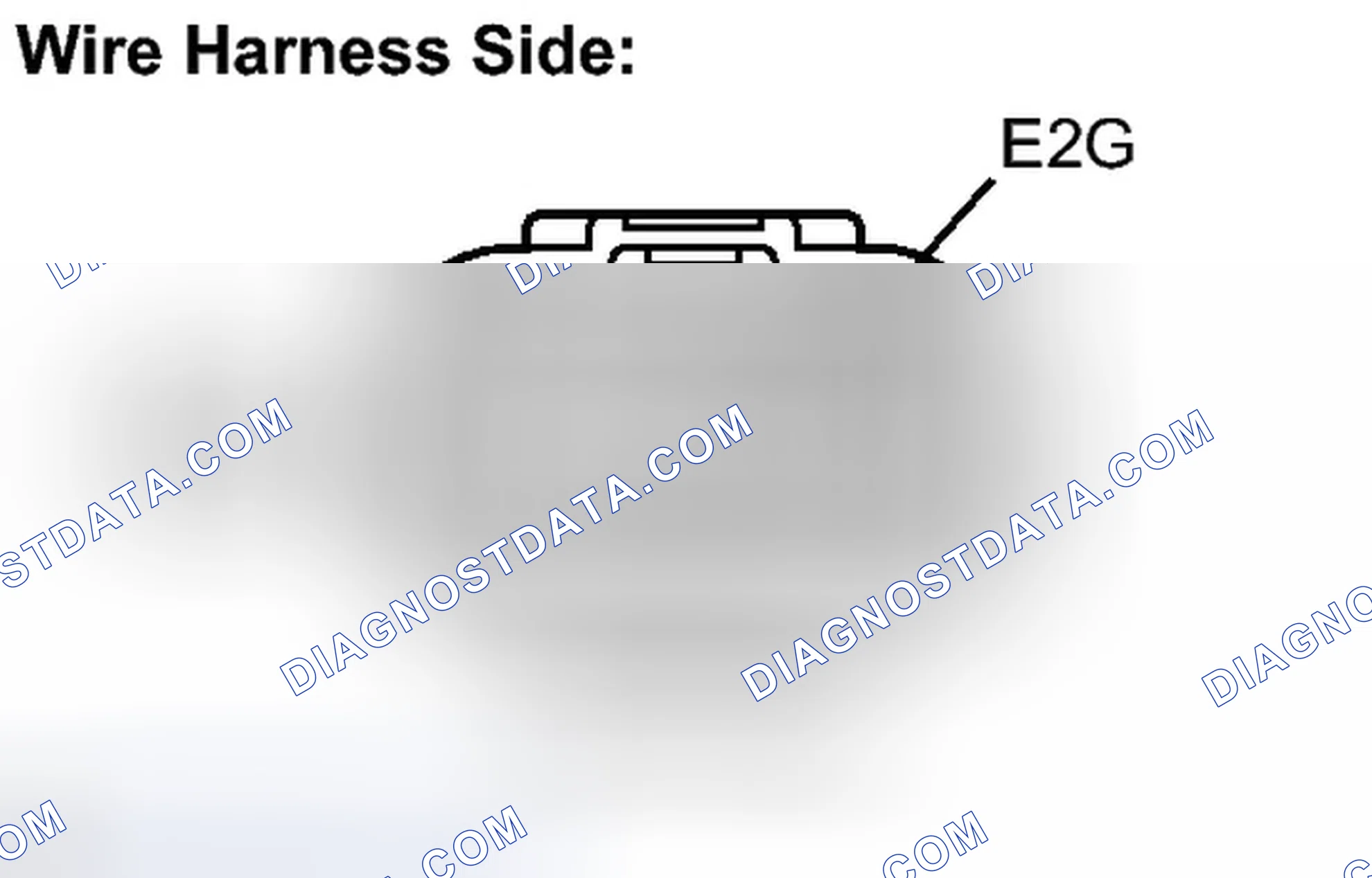 Scheme 481