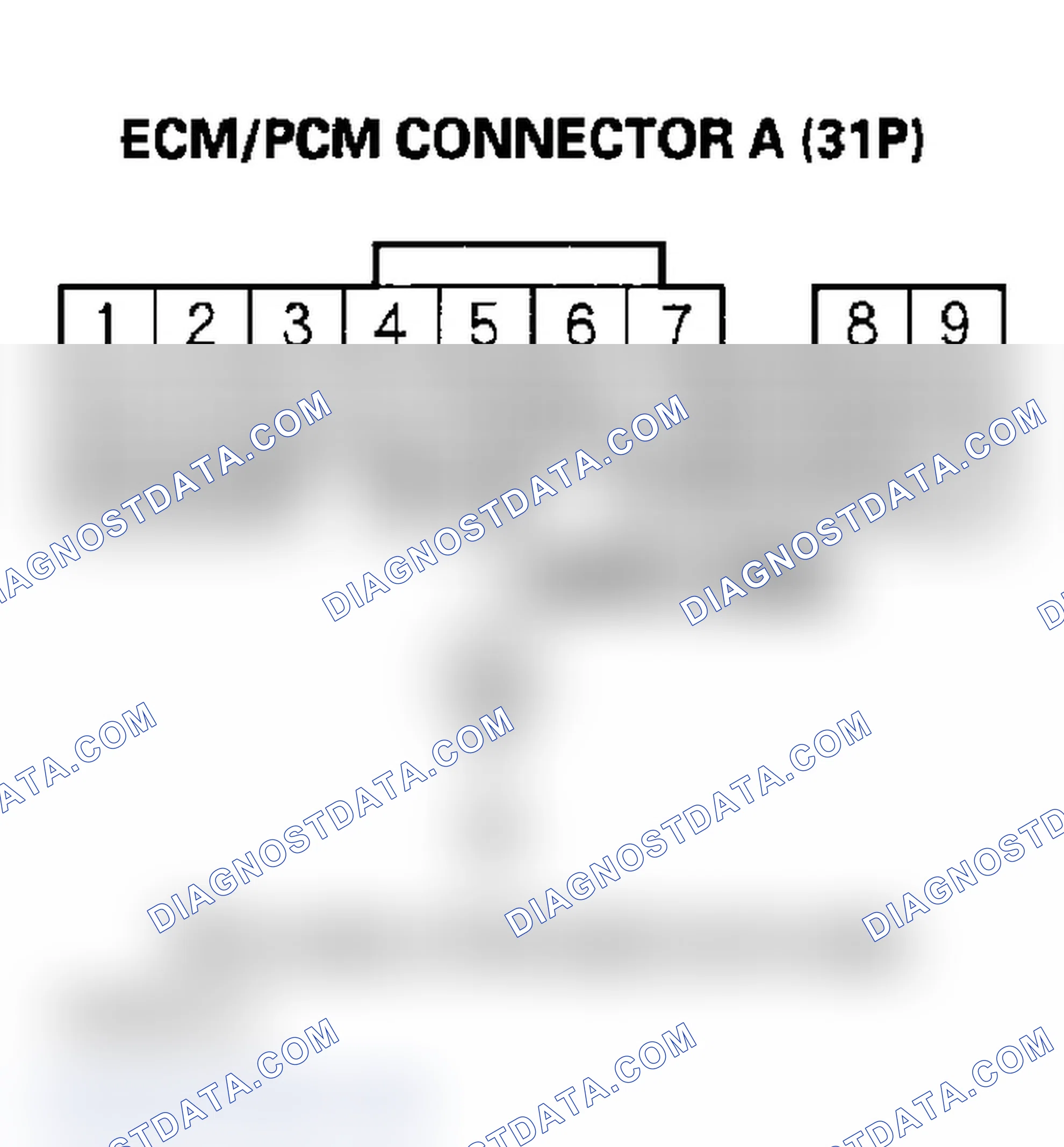 Scheme 145