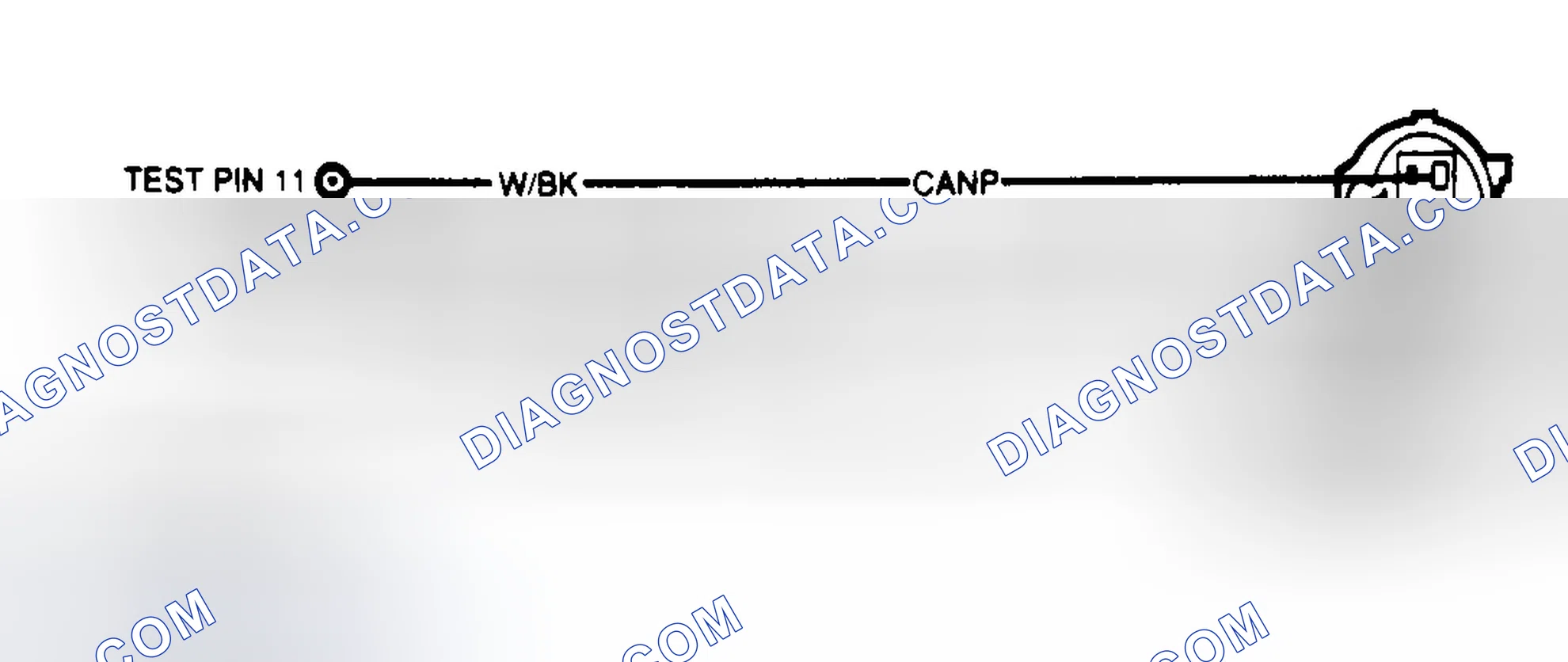 Scheme 21: Canister Purge (CANP) Circuit (KD1)