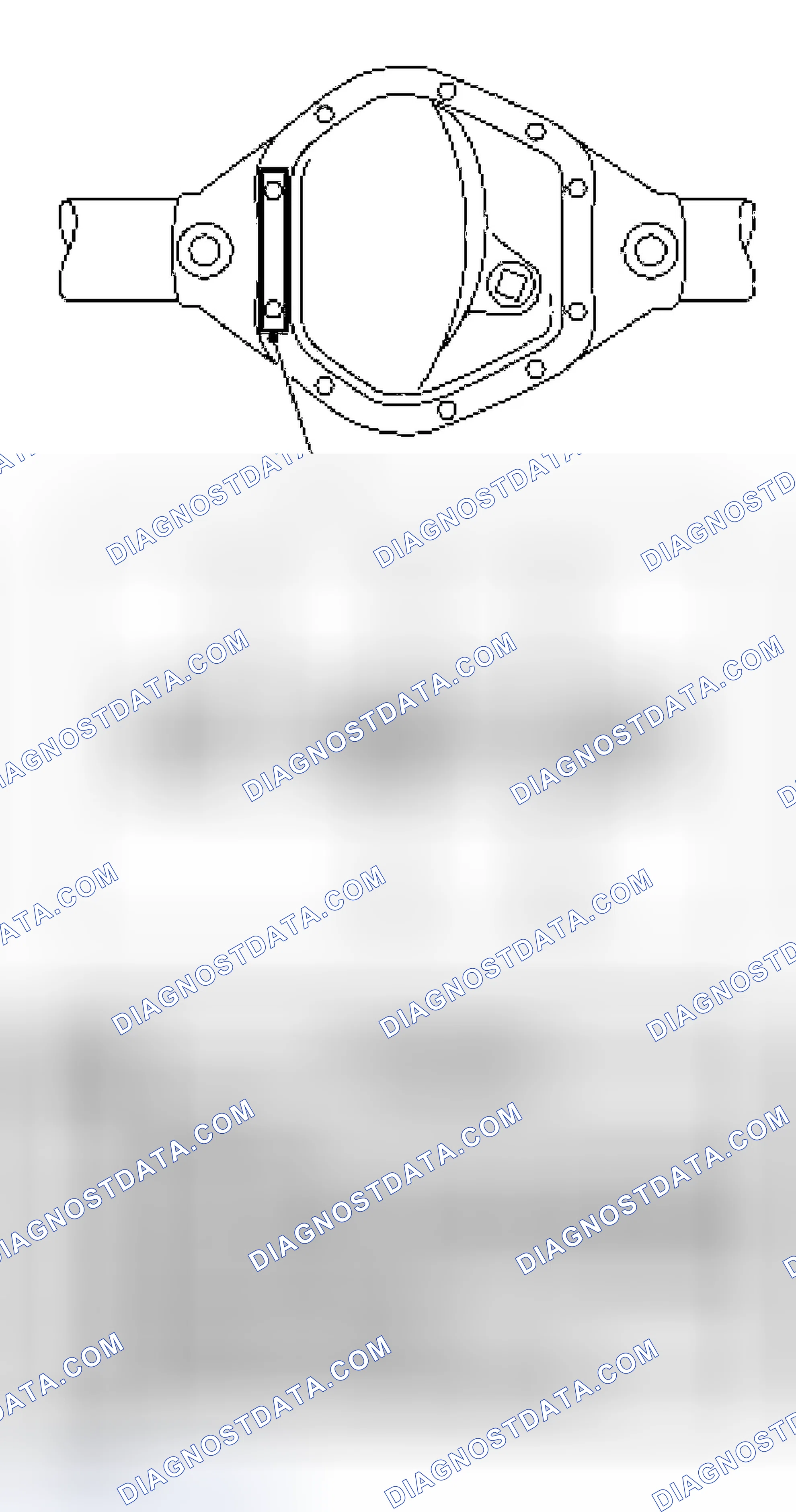 Scheme 2: Dana Rear Axle Identification Tag
