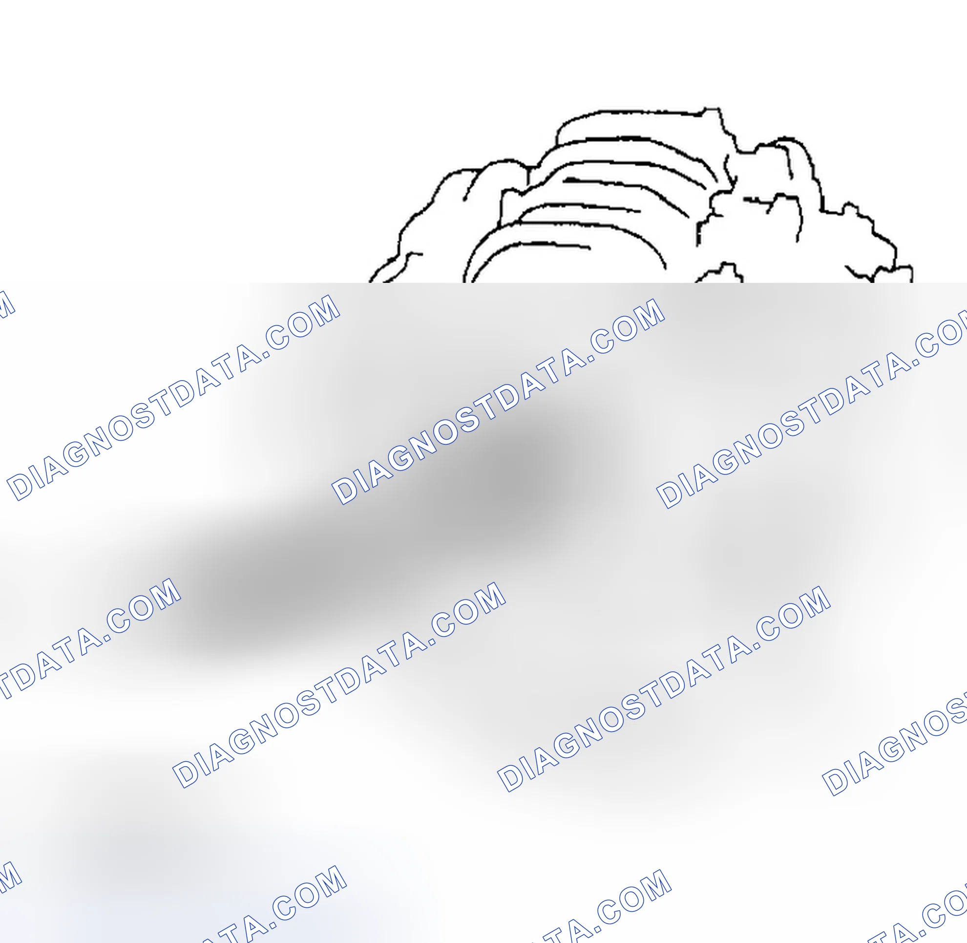 Scheme 28: ENGINE SERIAL NUMBER AND TRANSAXLE SERIAL NUMBER