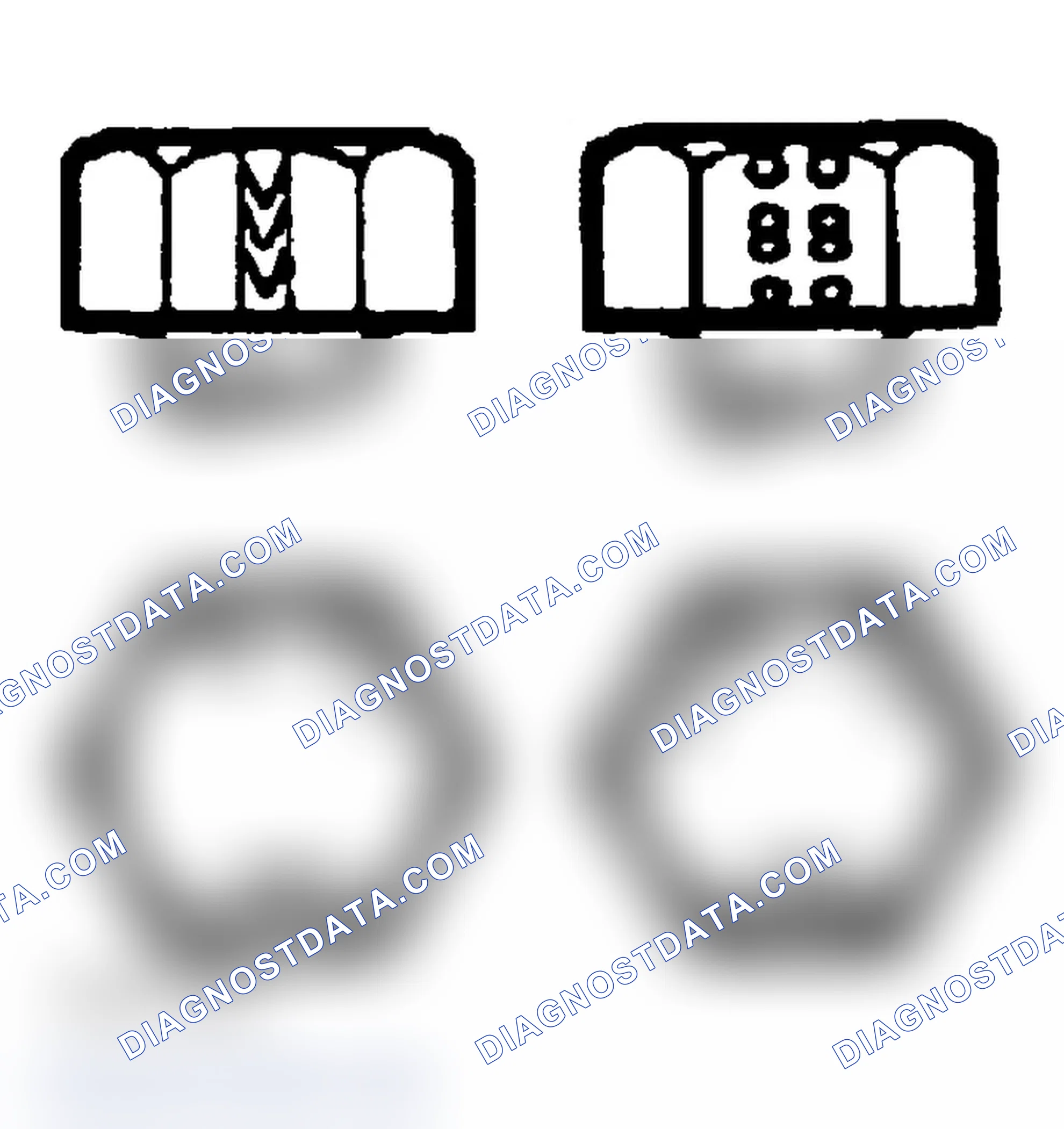 Scheme 5: BOLT IDENTIFICATION