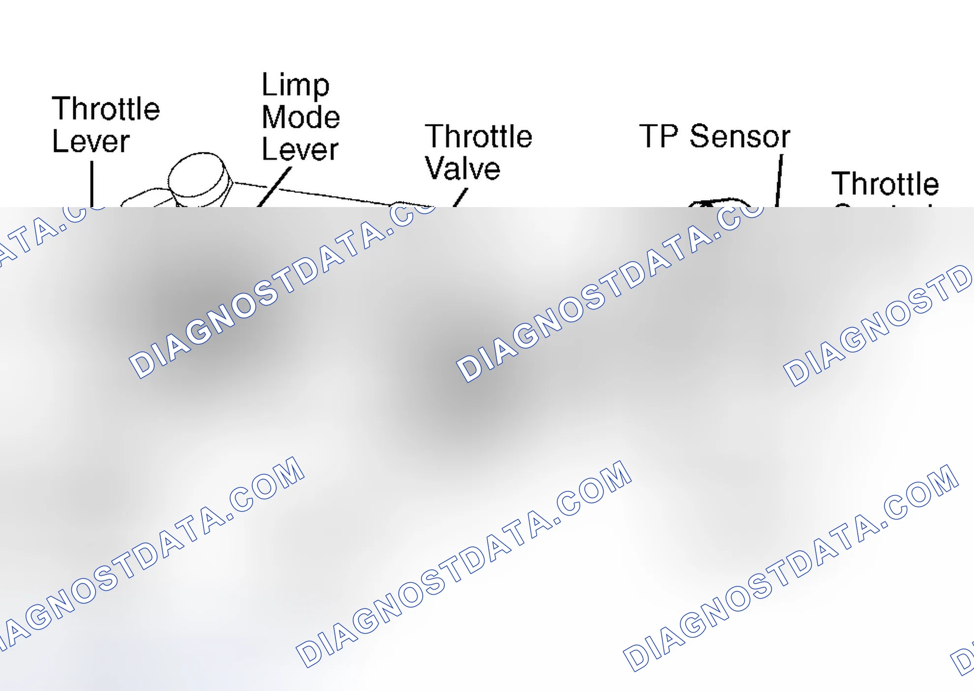 Scheme 9: Land Cruiser, Sequoia & Tundra 4.7L V8