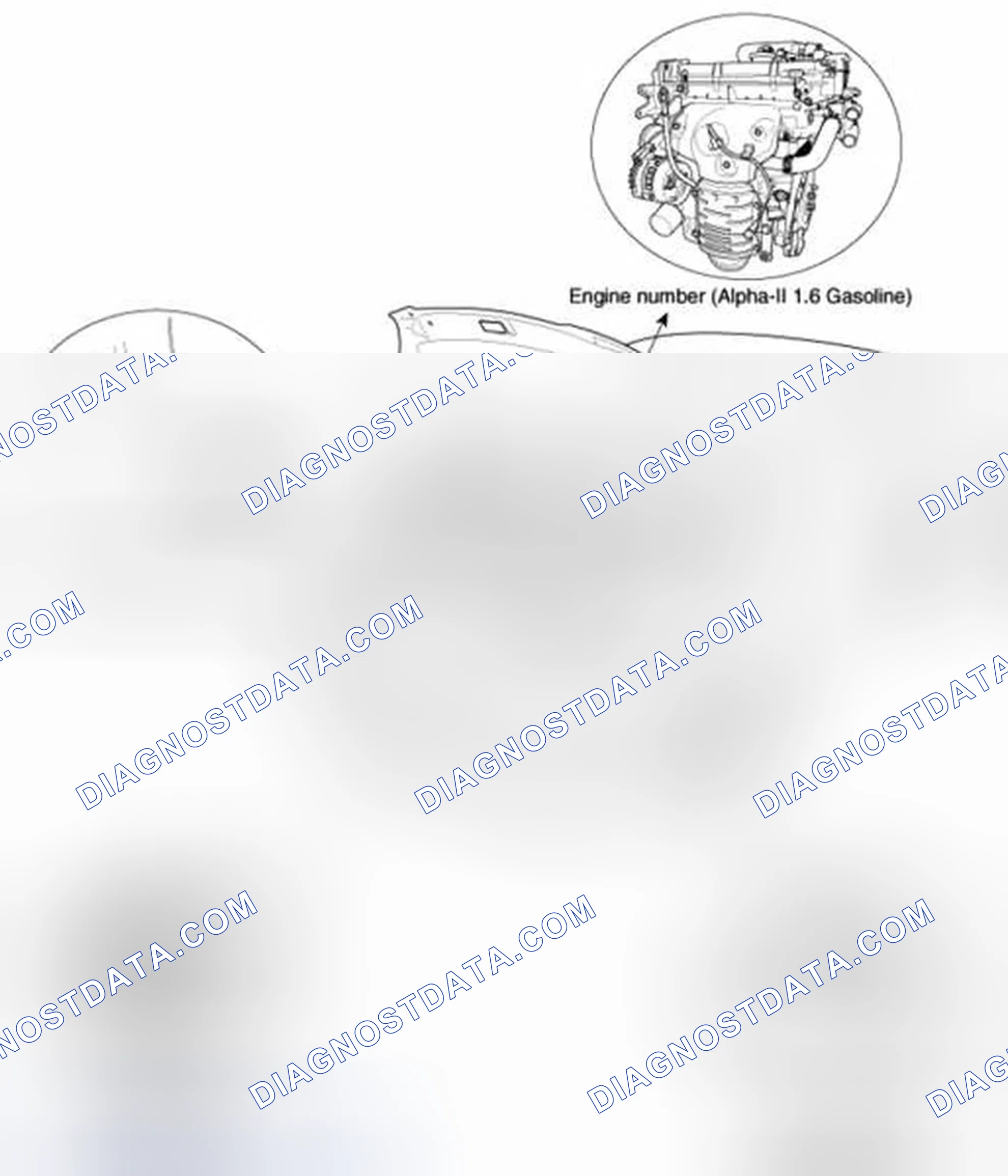 Scheme 5: Identification Number Locations