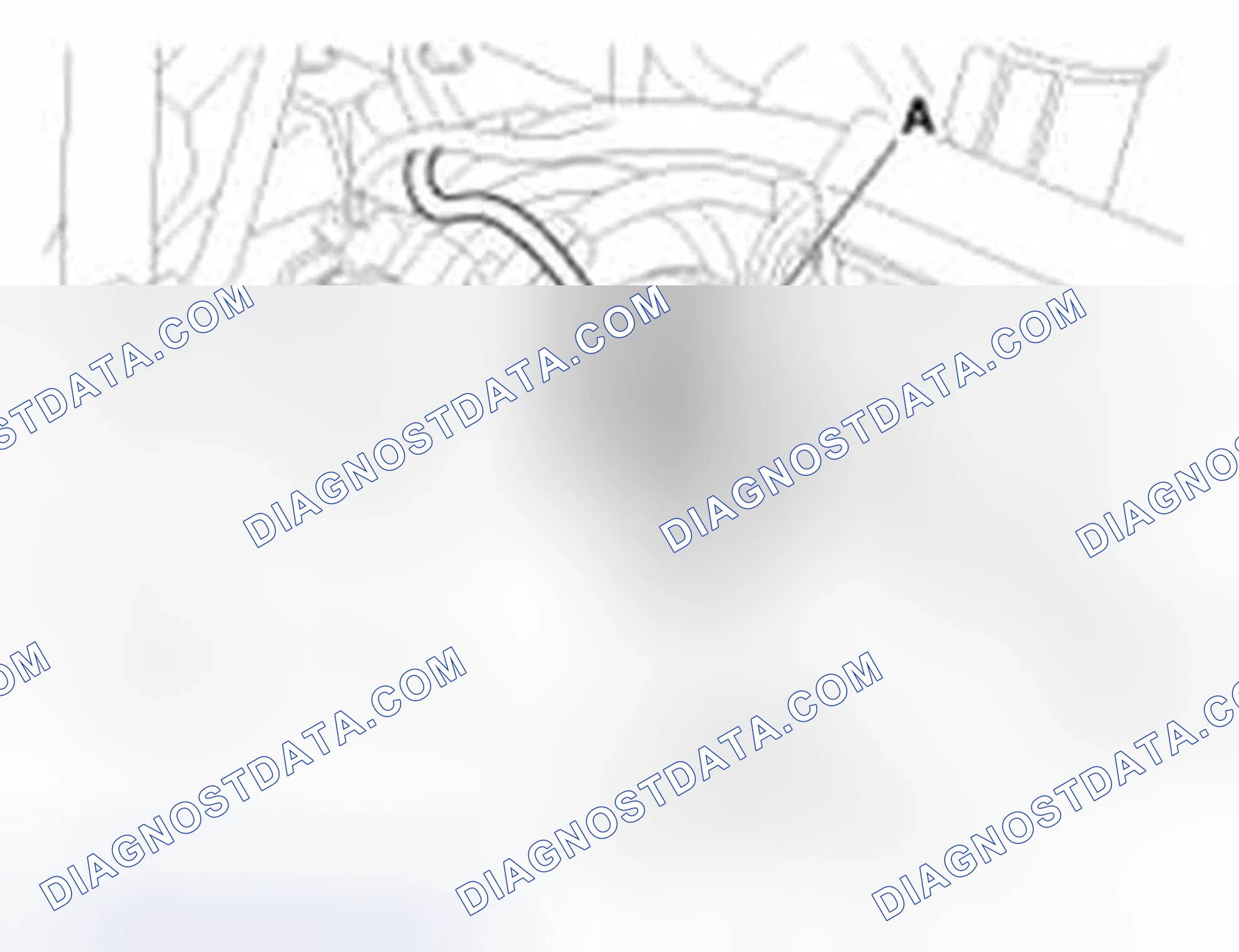 Scheme 135