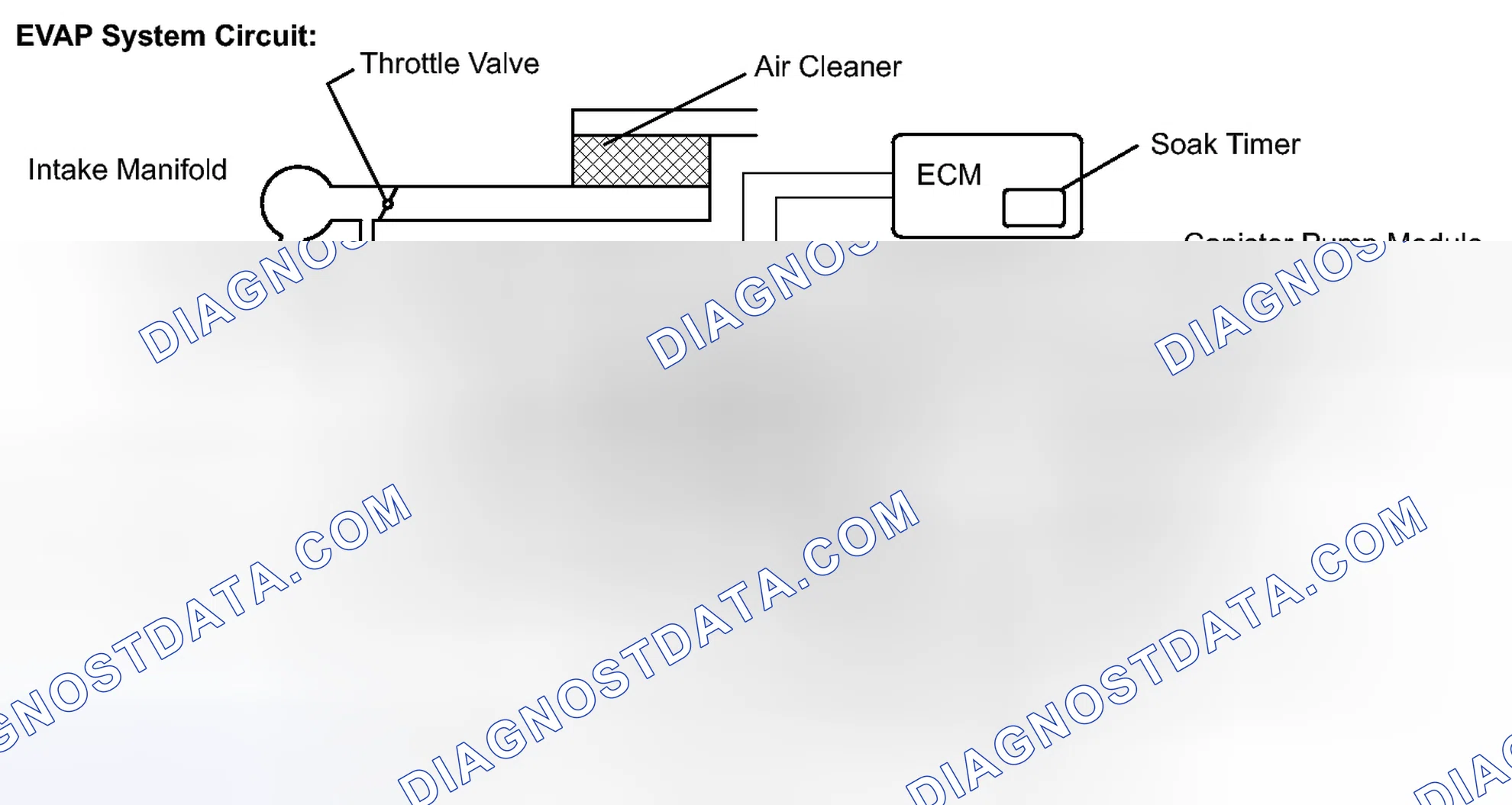 Scheme 161