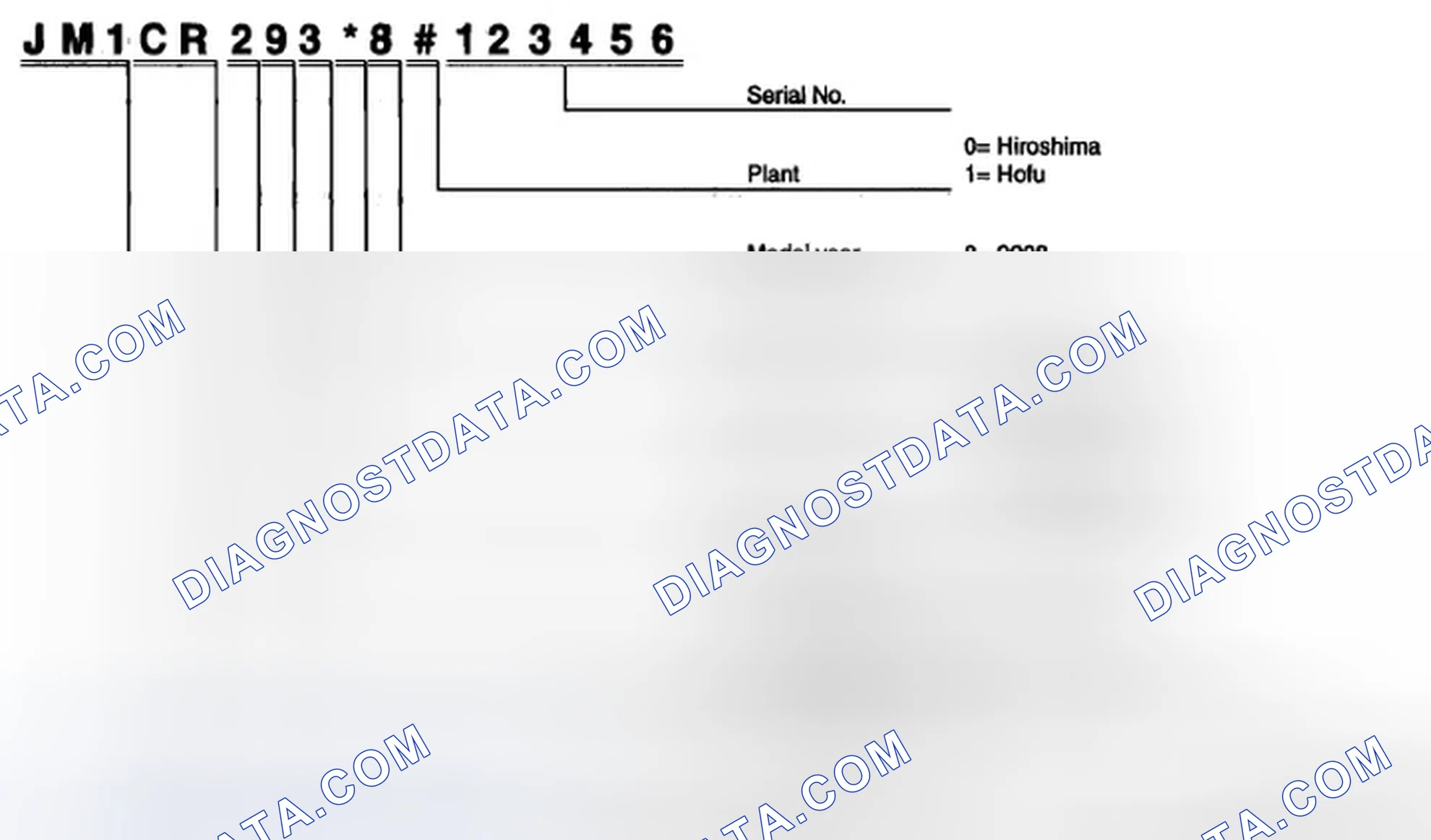 Scheme 1: VEHICLE IDENTIFICATION NUMBER (VIN) CODE