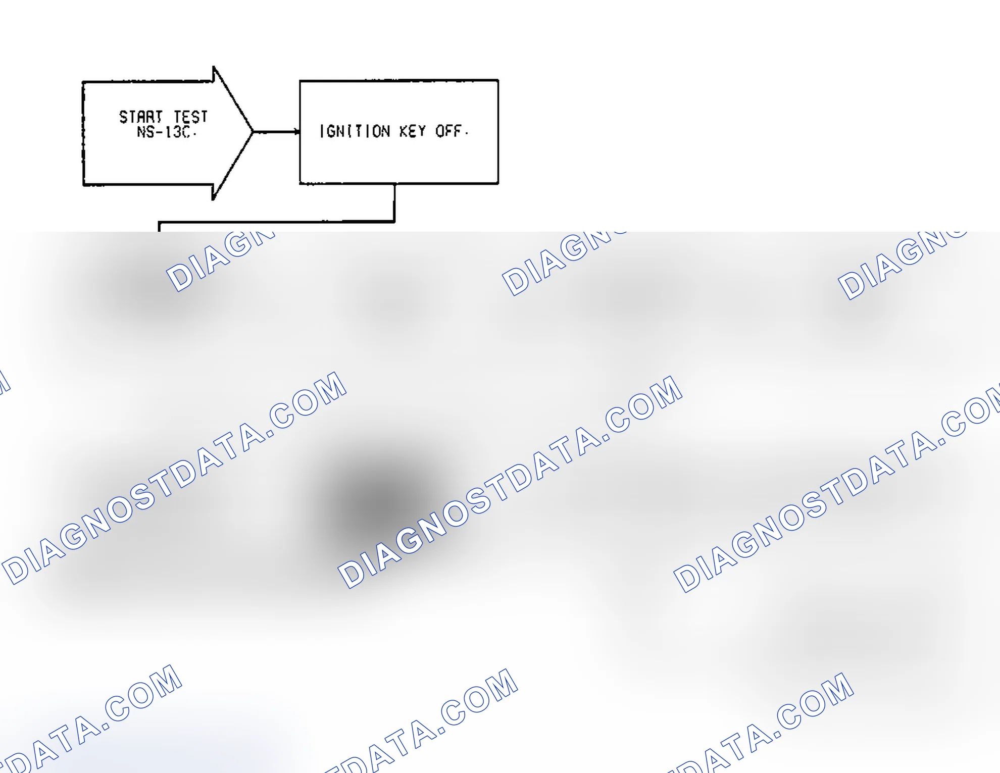 Scheme 409: Test NS-13C, Diagnostic Flow Chart