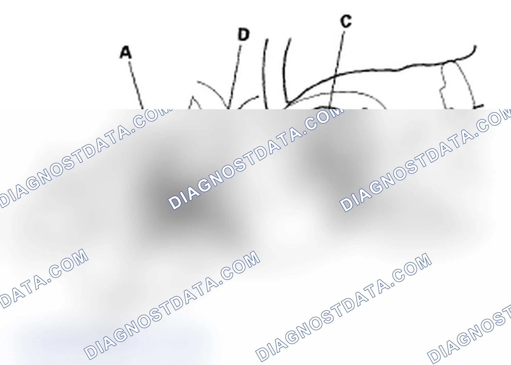 Scheme 38