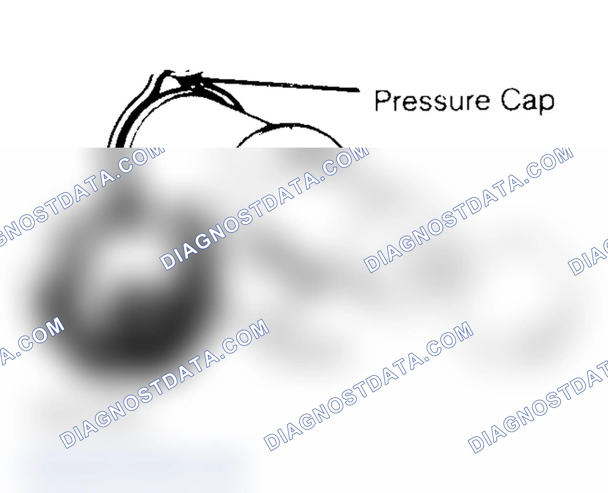 Scheme 2: Pressure Testing Radiator Cap