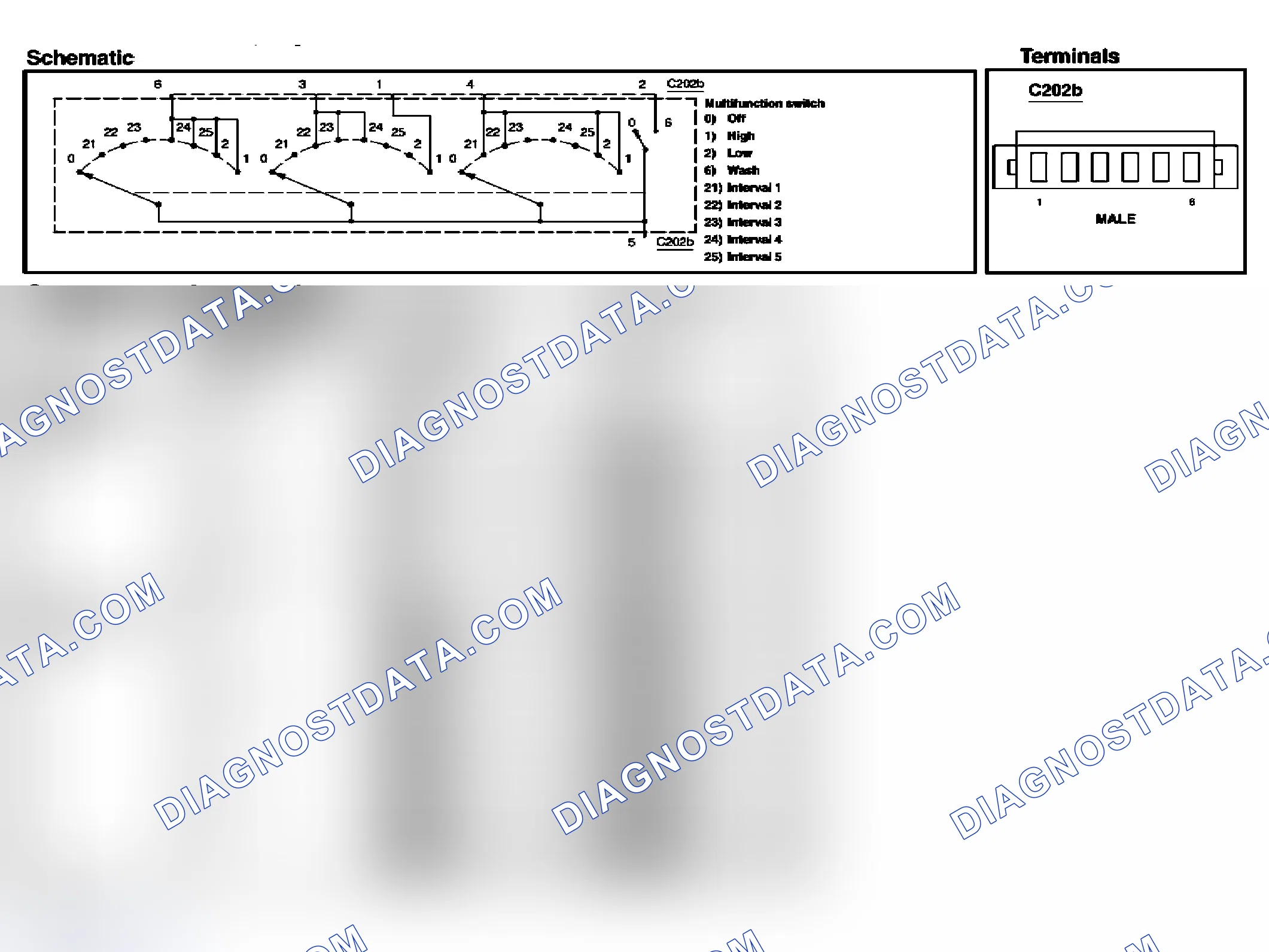 Scheme 9: Multifunction Switch, Wiper/Washer Portion