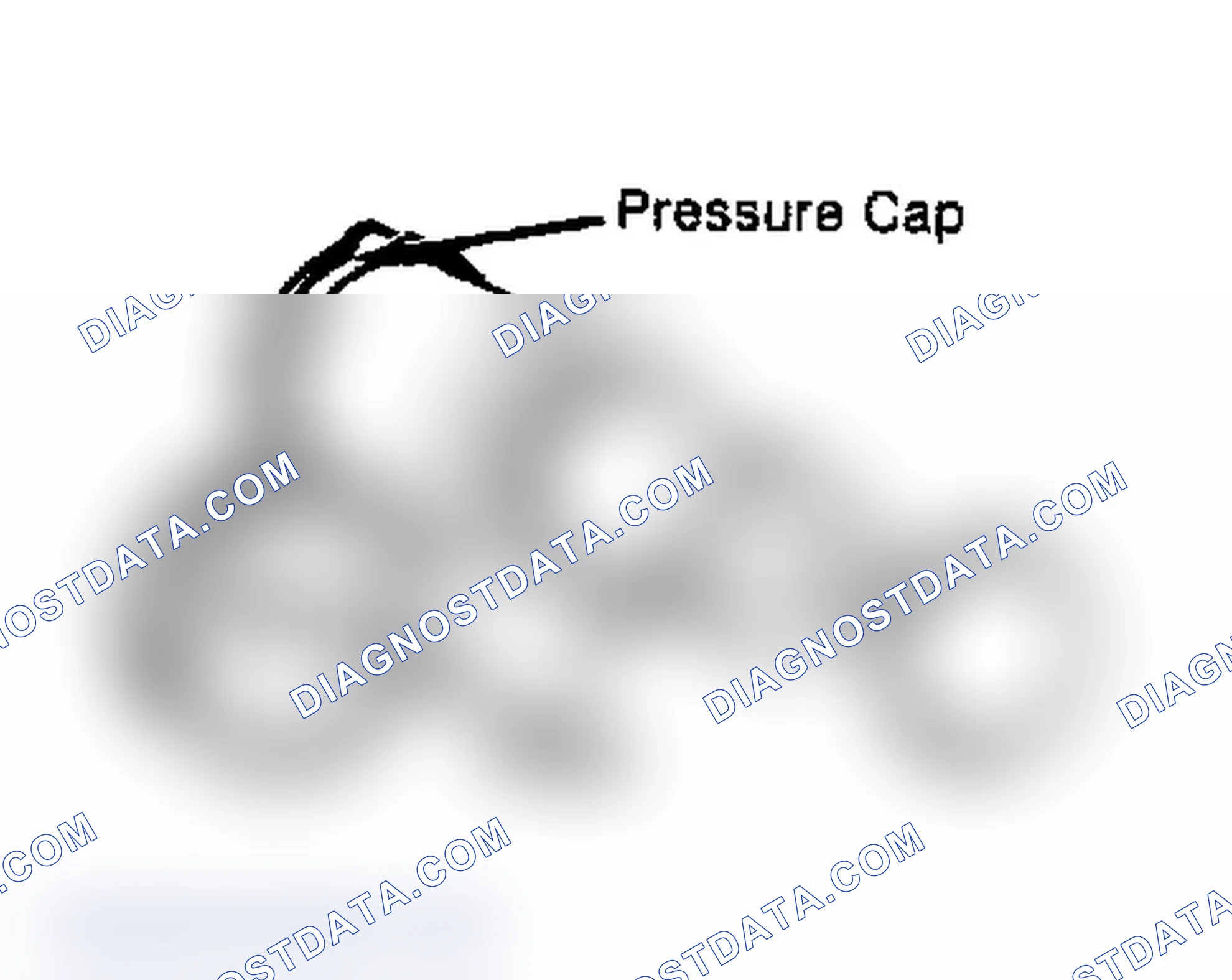 Scheme 4: Testing Radiator Pressure Cap Wet cap gasket before testing.