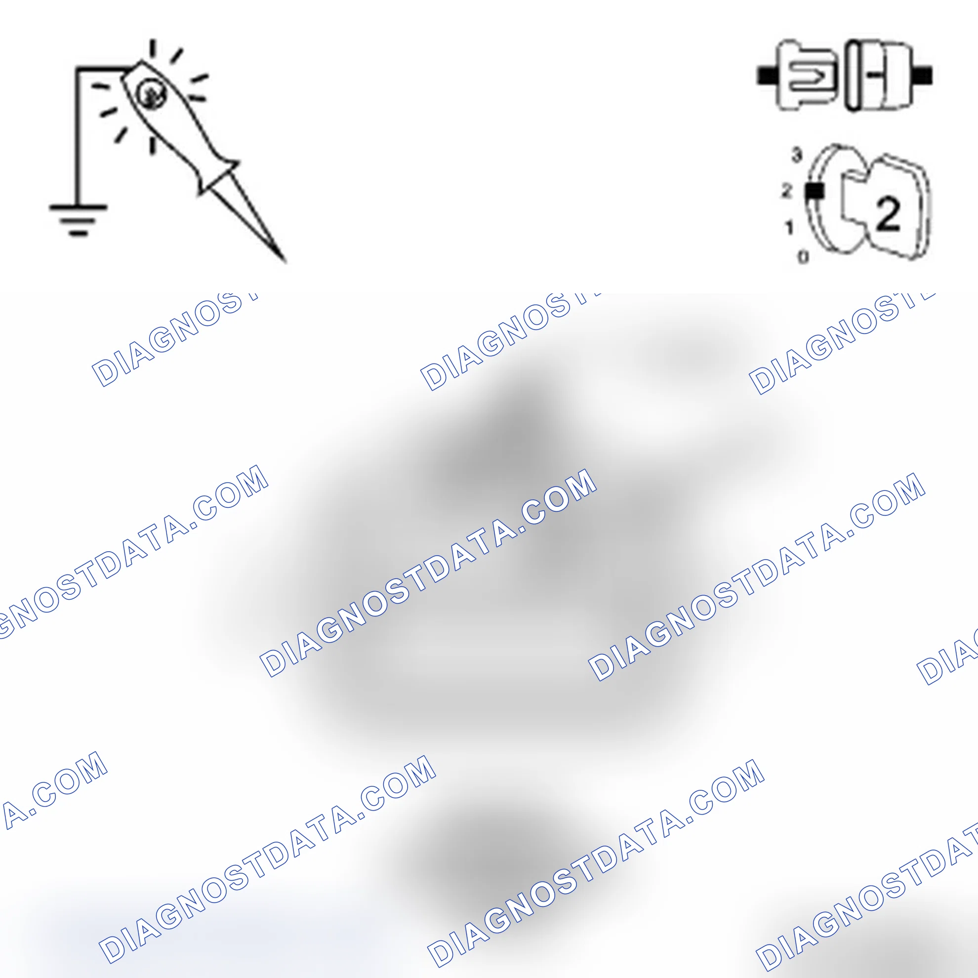 Scheme 12: Diagnostic Test
