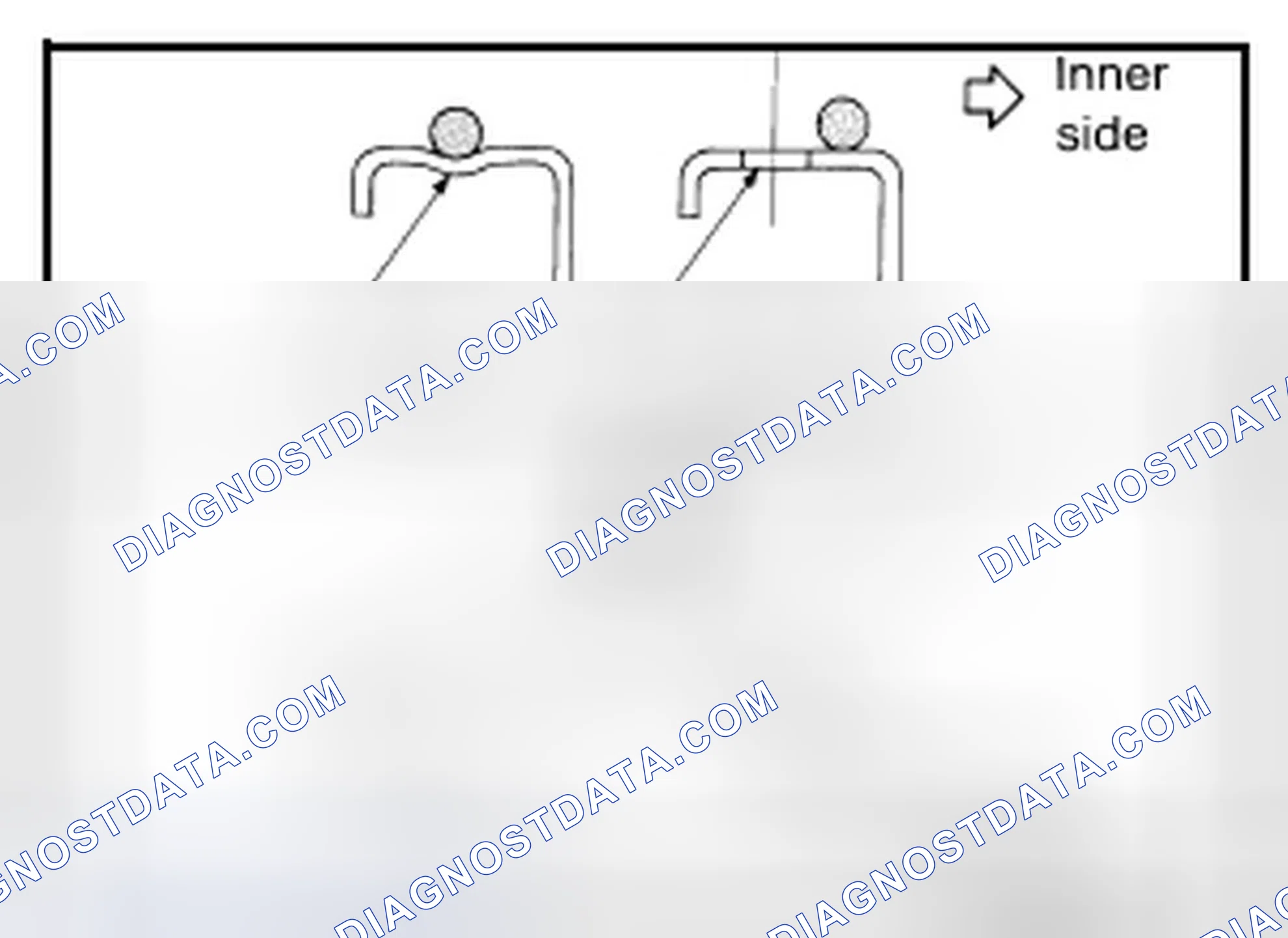 Scheme 319