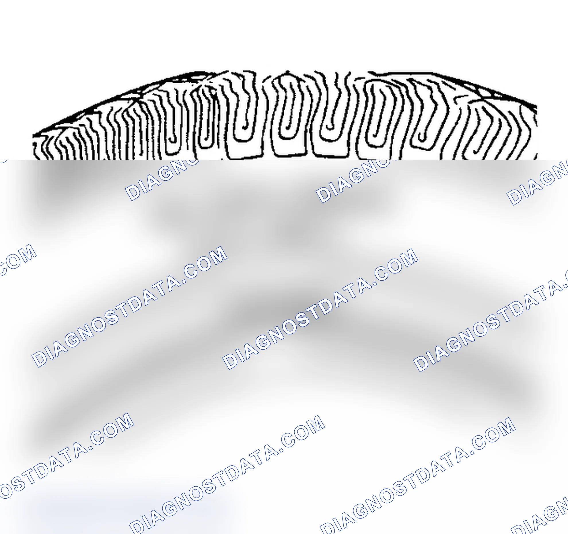 Scheme 5: All Seasons Tires Description