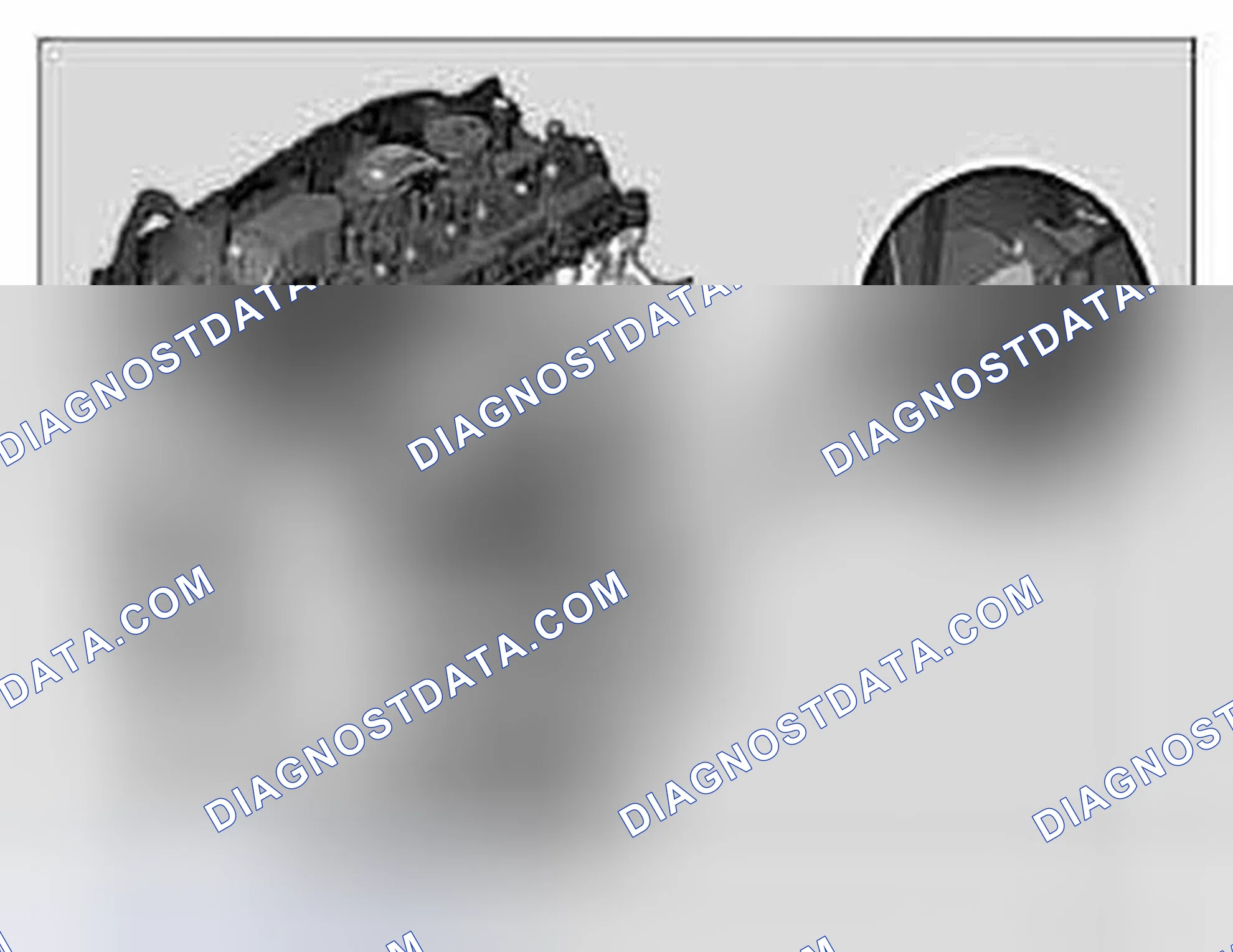 Scheme 452: ENGINE IDENTIFICATION