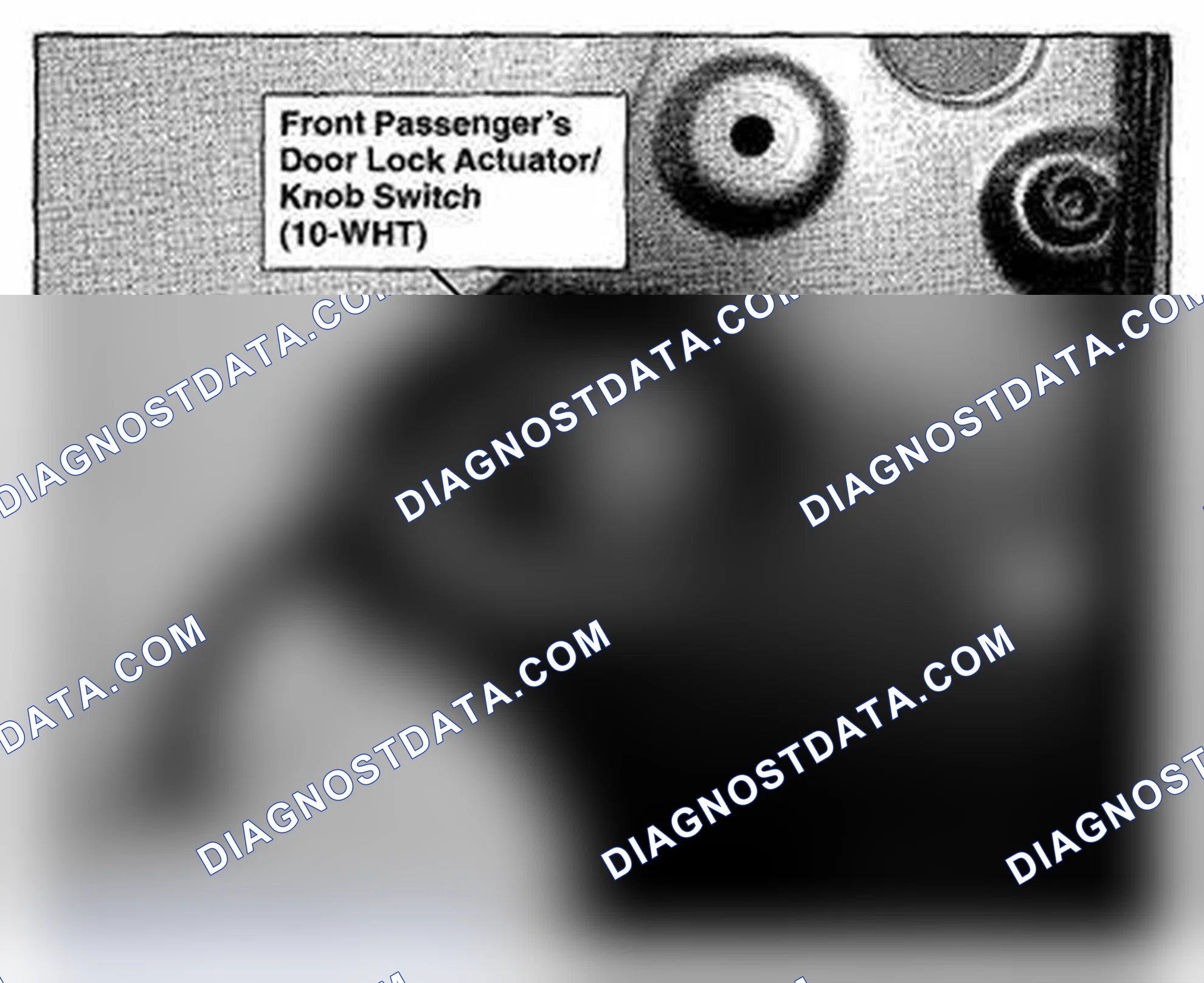Scheme 556: Front Passengers Door Component Location (Photo 151)