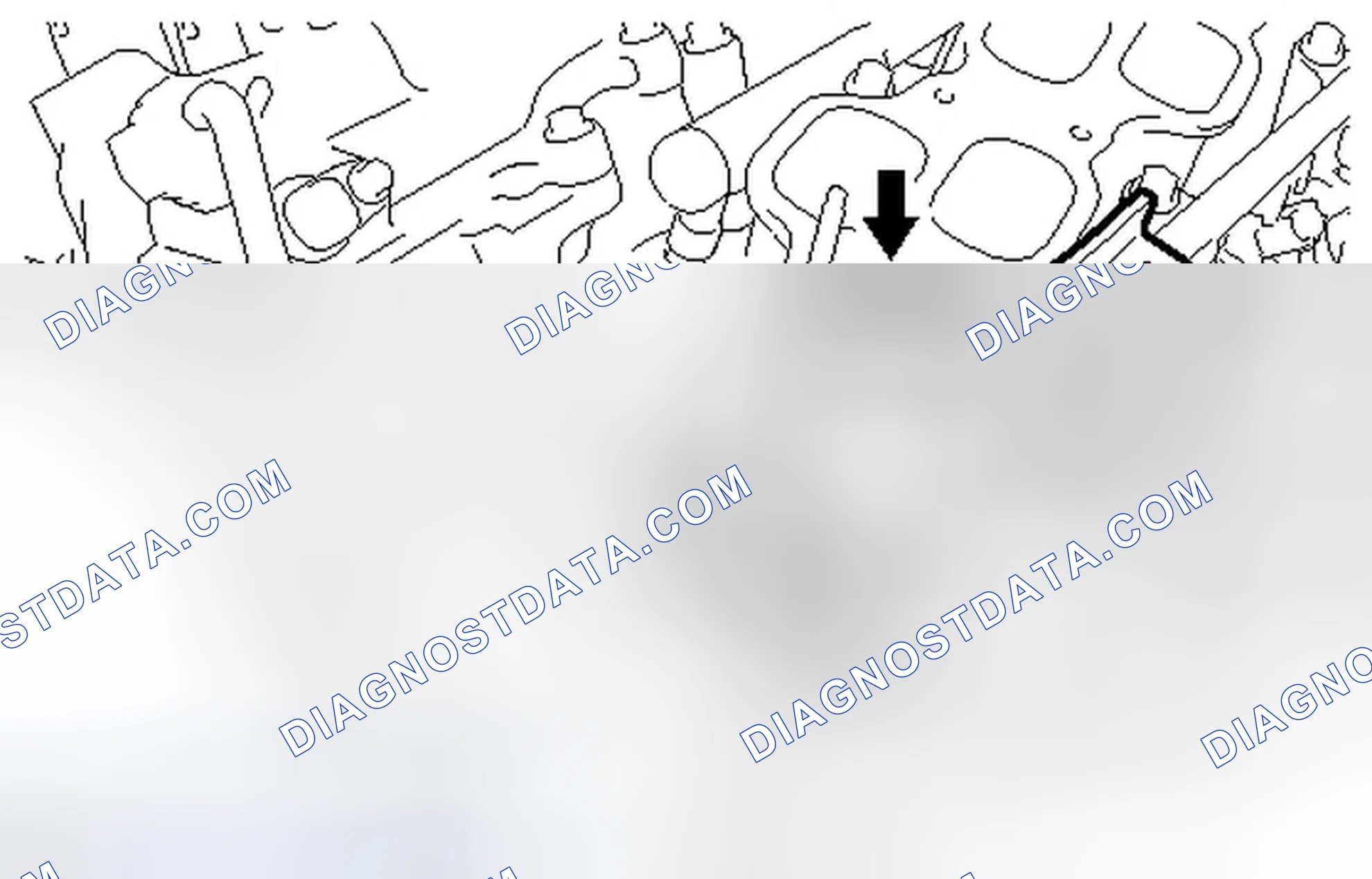 Scheme 245