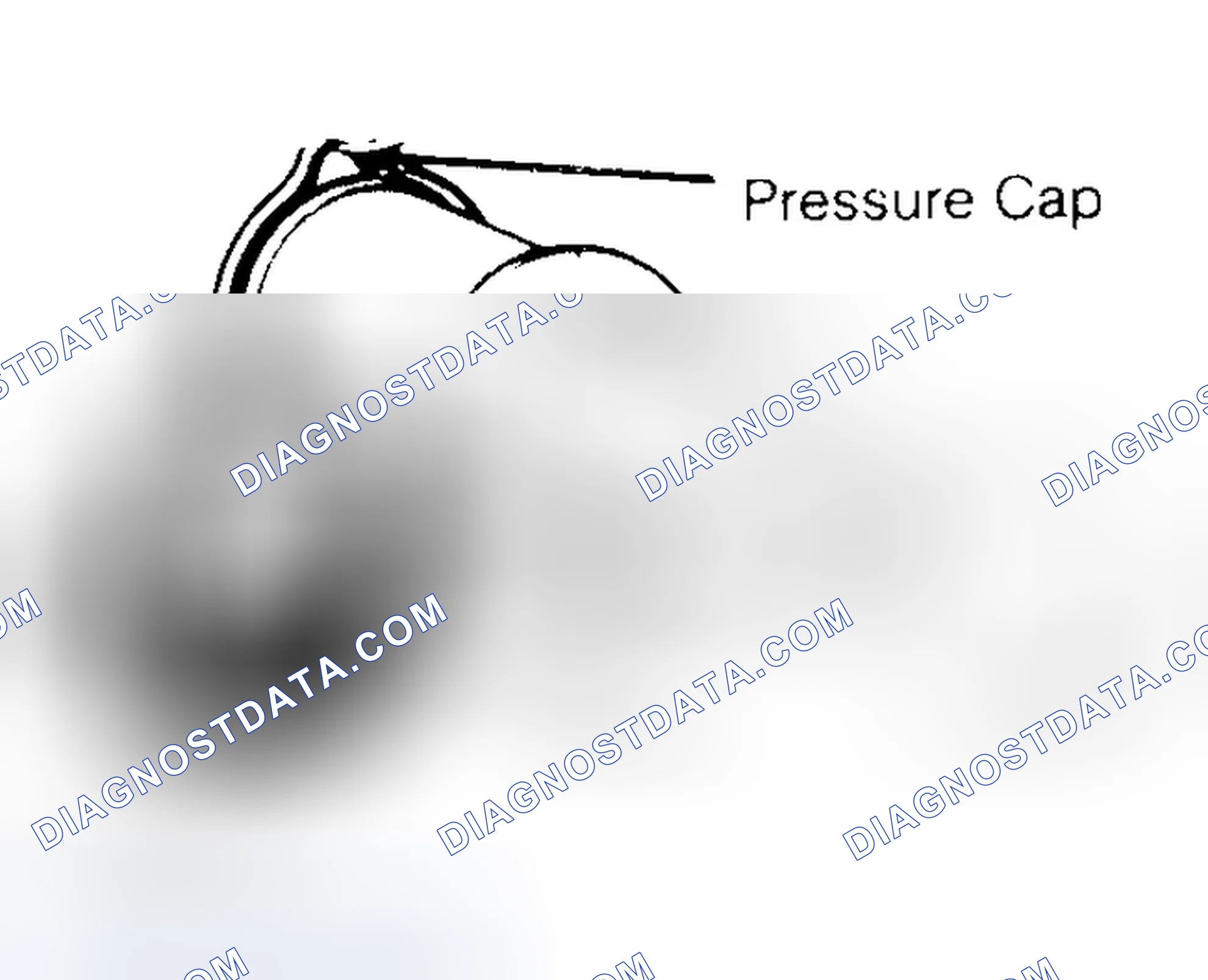 Scheme 2: Pressure Testing Radiator Cap