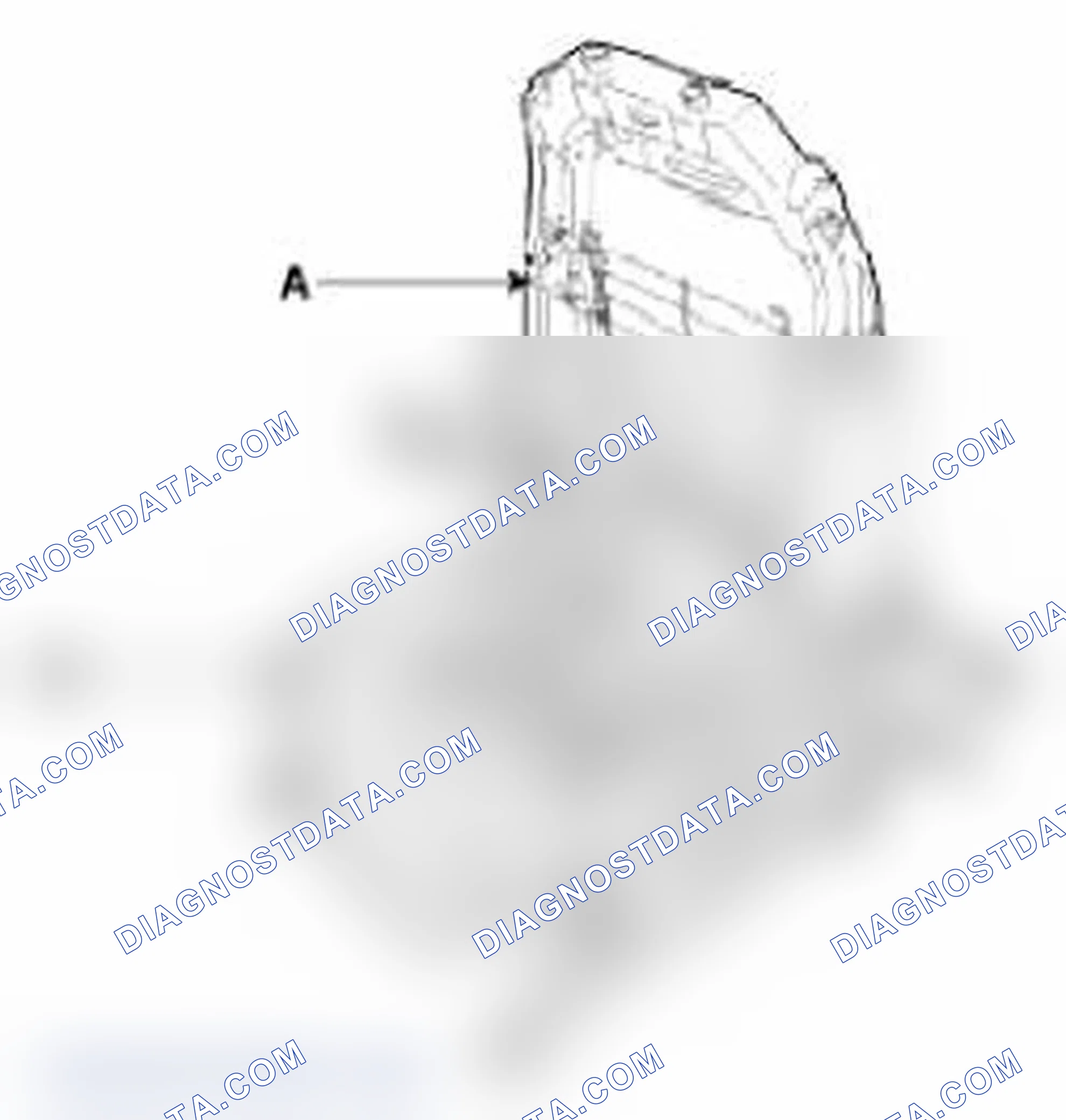 Scheme 176