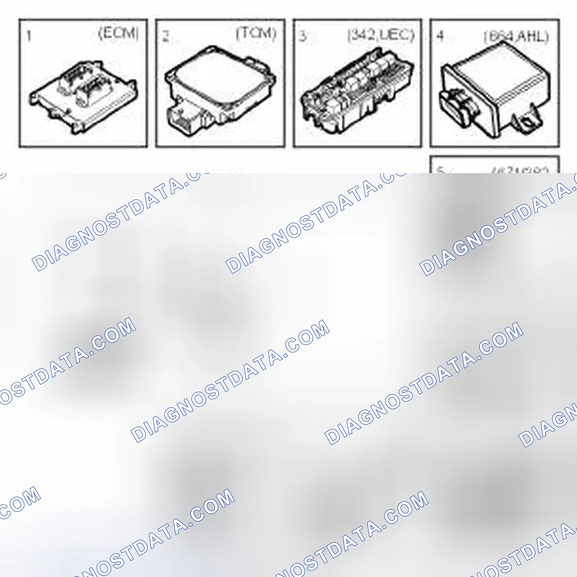 Scheme 1: P-bus