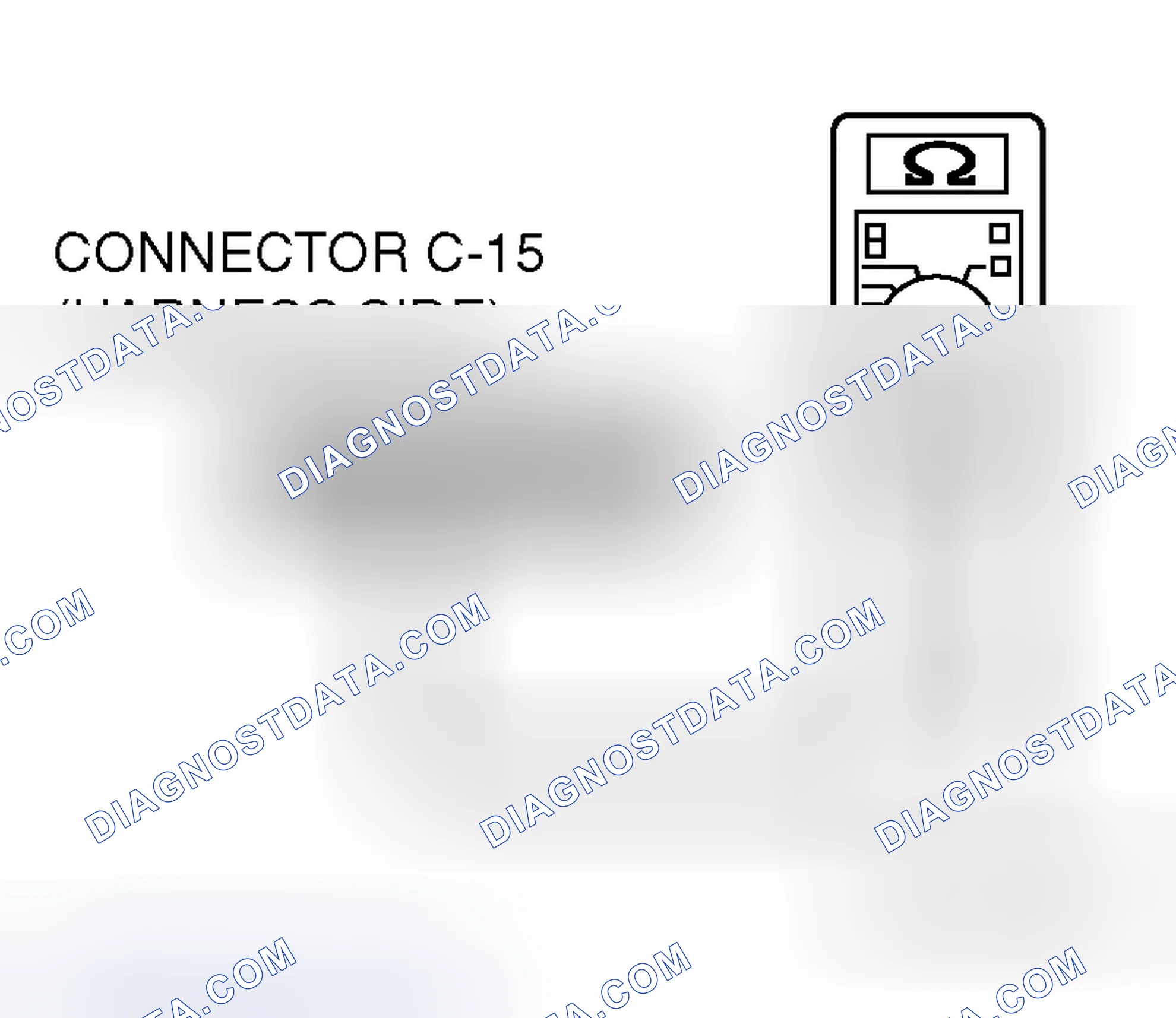 Scheme 307