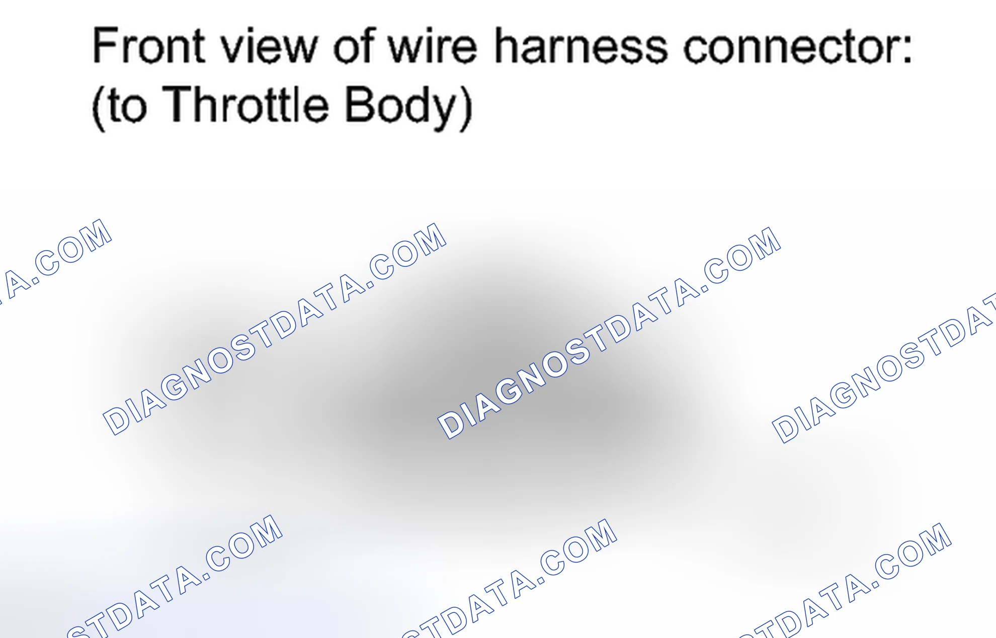 Scheme 303