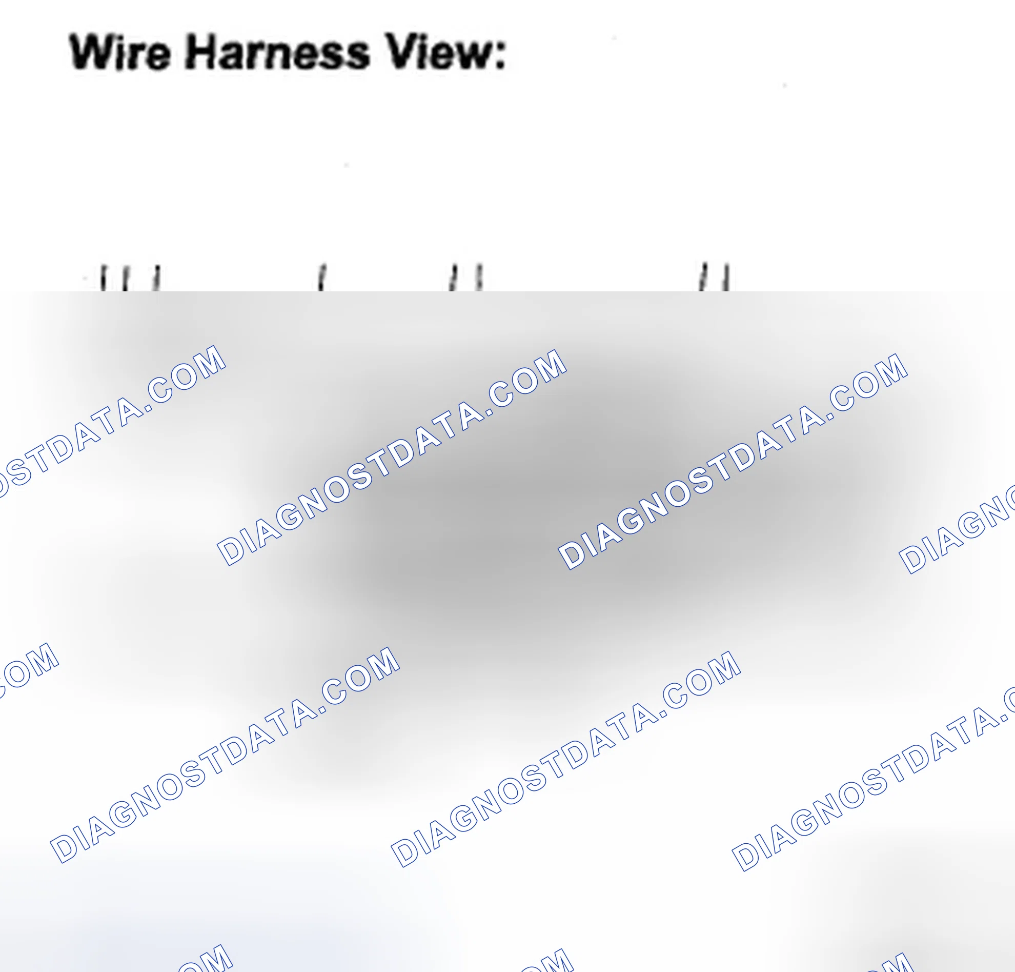 Scheme 31: INSPECTION PROCEDURE