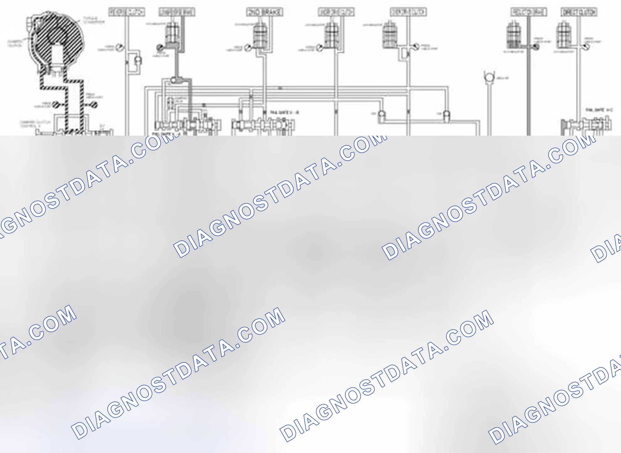 Scheme 585: P/N