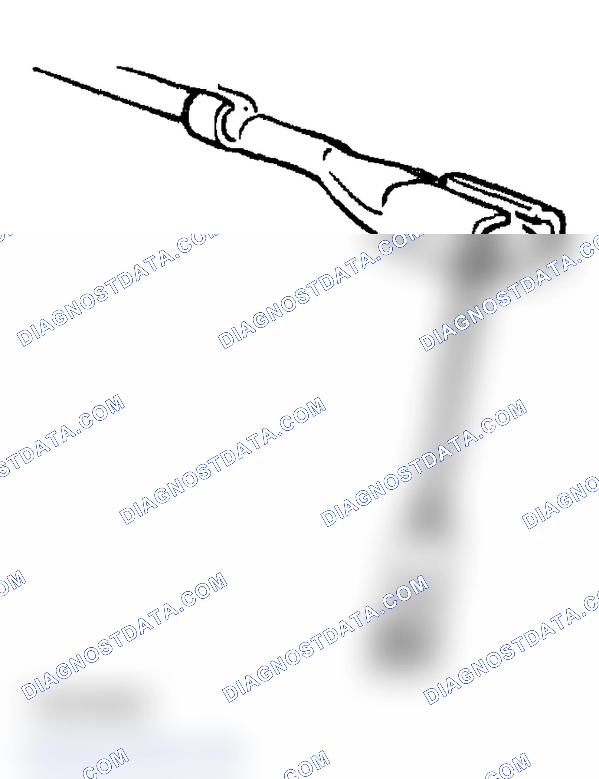 Scheme 308