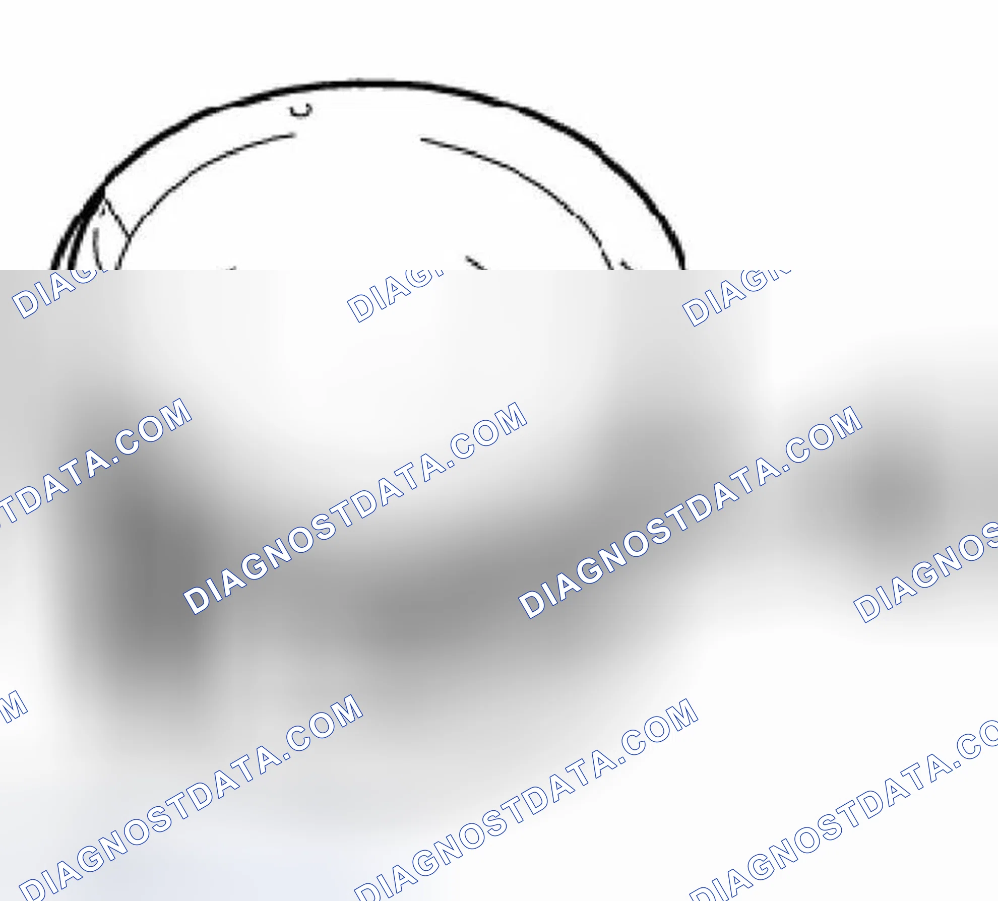 Scheme 469: Piston Ring Measurements