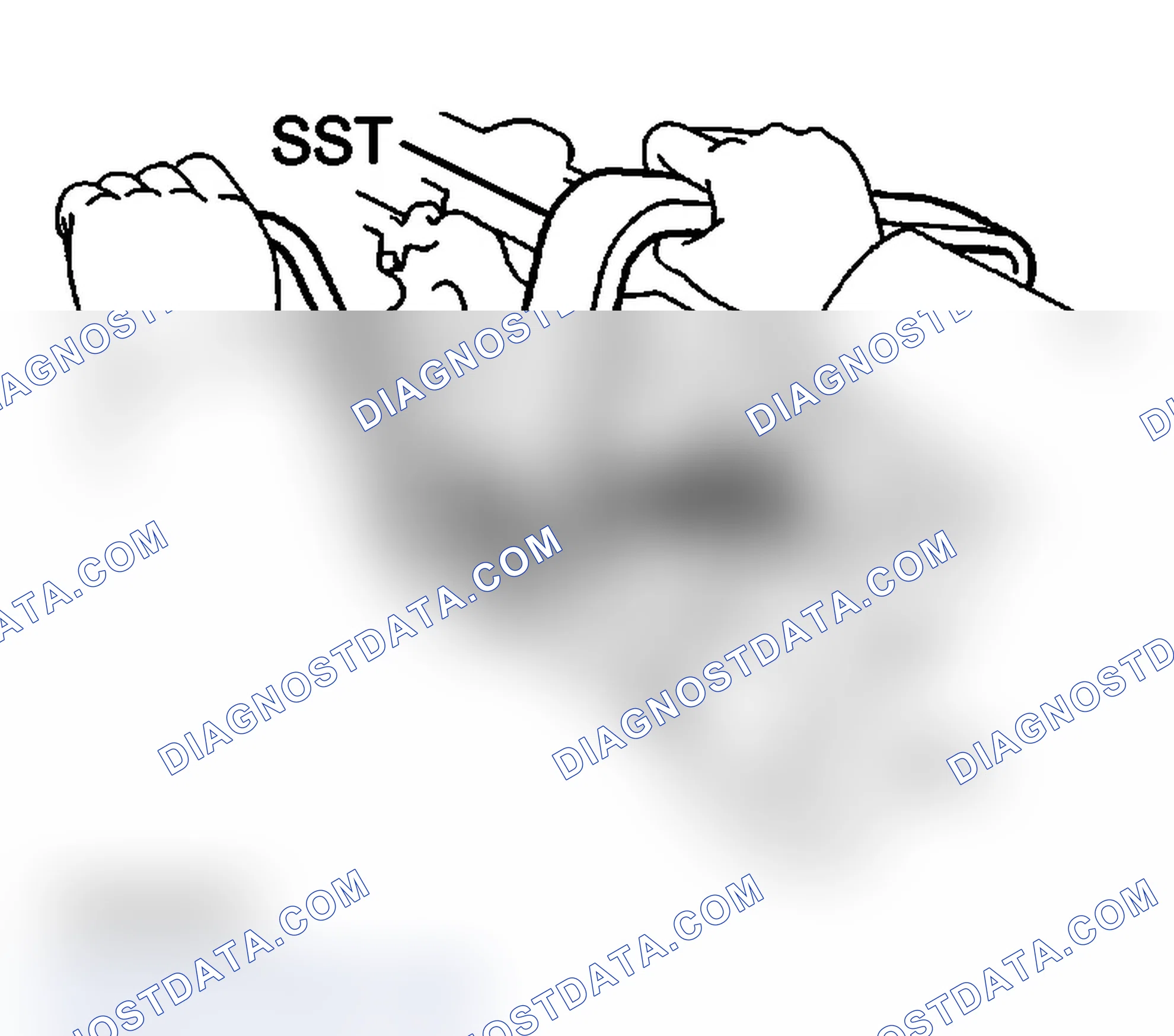 Scheme 113: DISASSEMBLY
