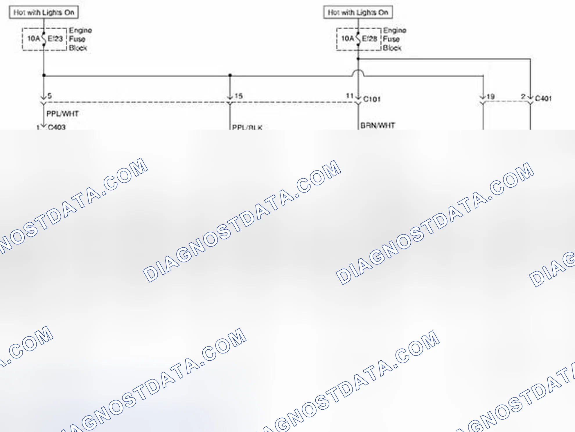 Scheme 9: Park, Tail and License Lamp Circuit Diagram (For HATCHBACK Model)